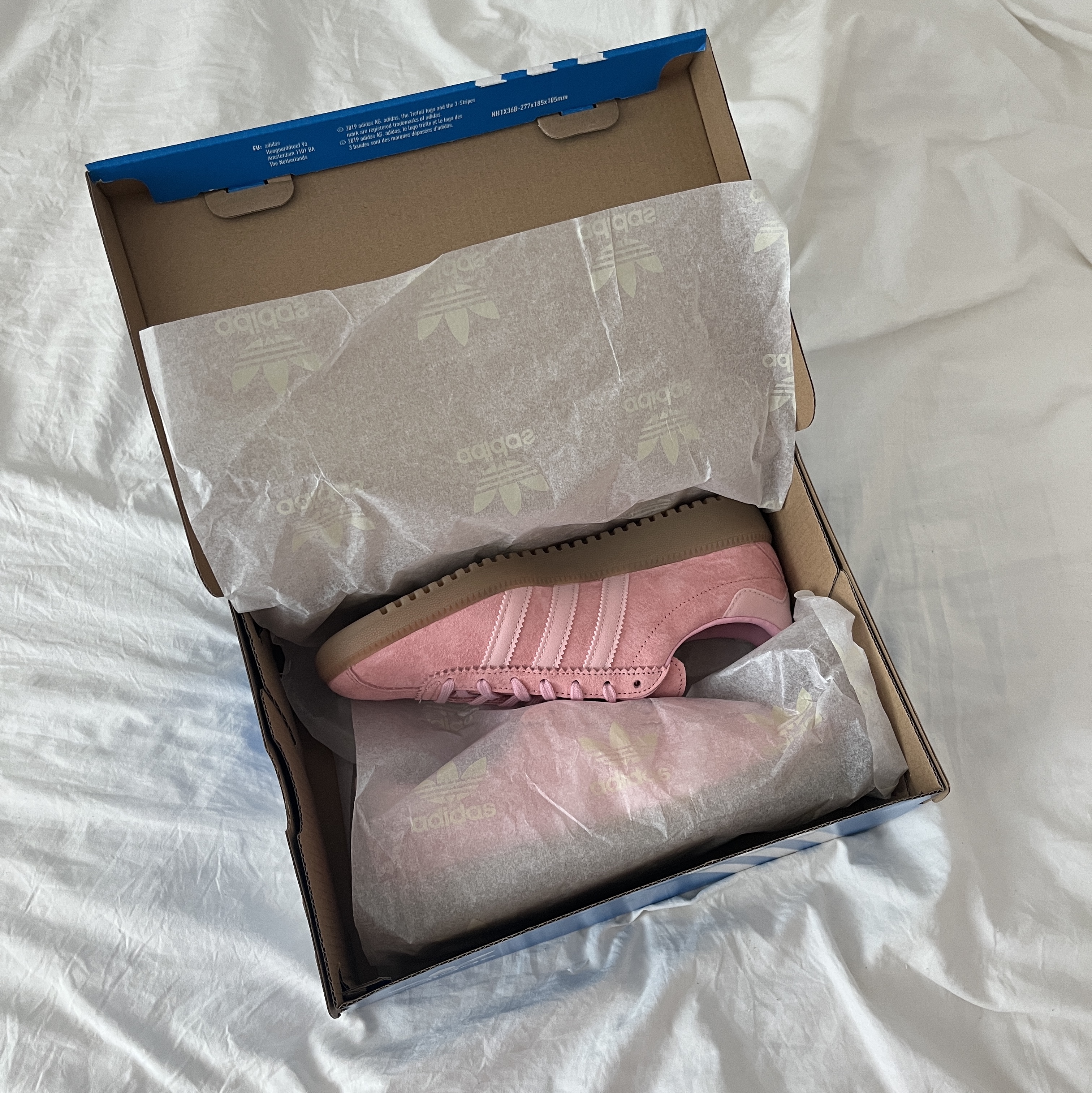 Adidas Bermuda Glow Pink 착용 스타일 - 3