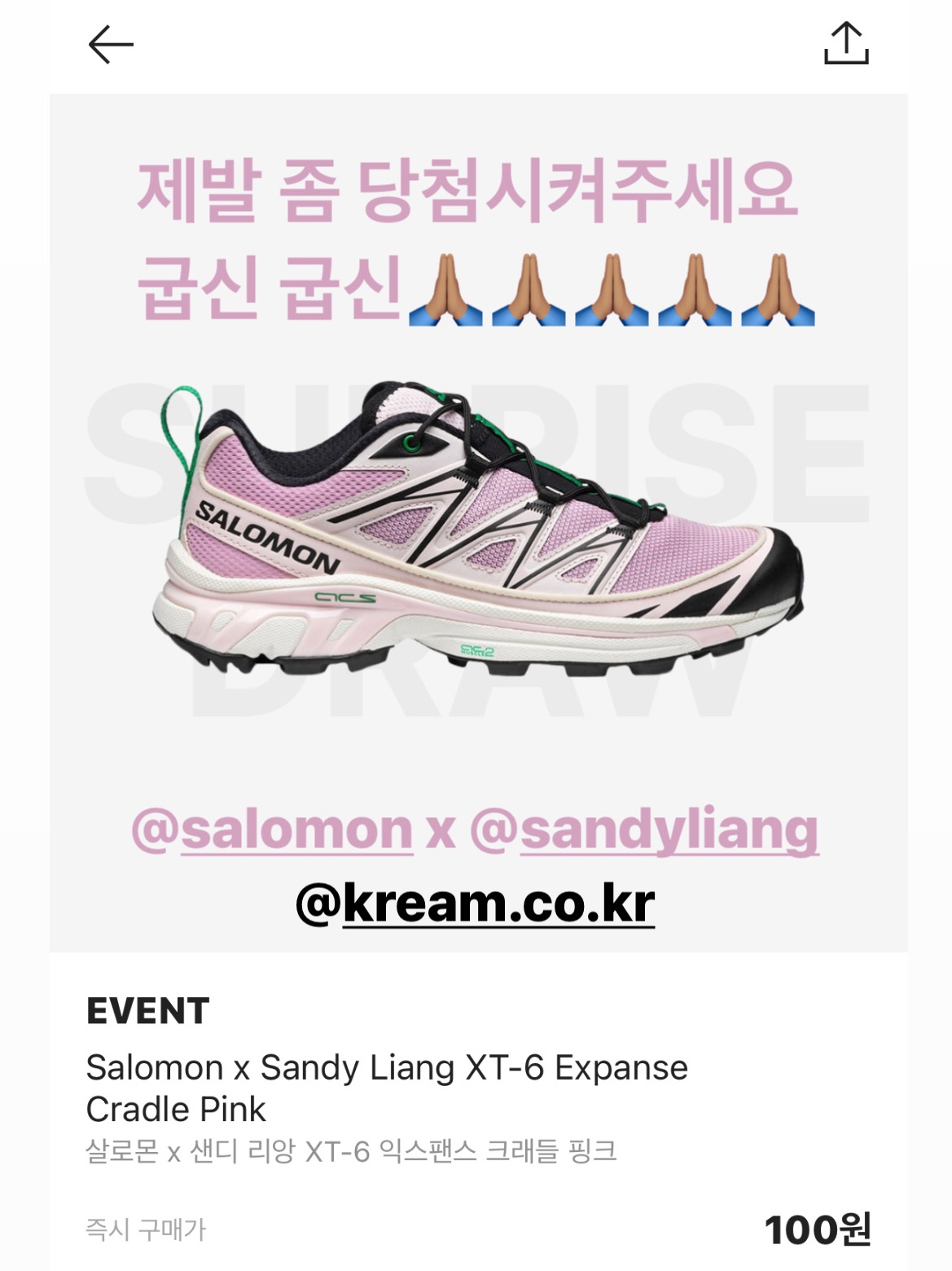 Salomon x Sandy Liang XT-6 Expanse Cradle Pink 착용 스타일