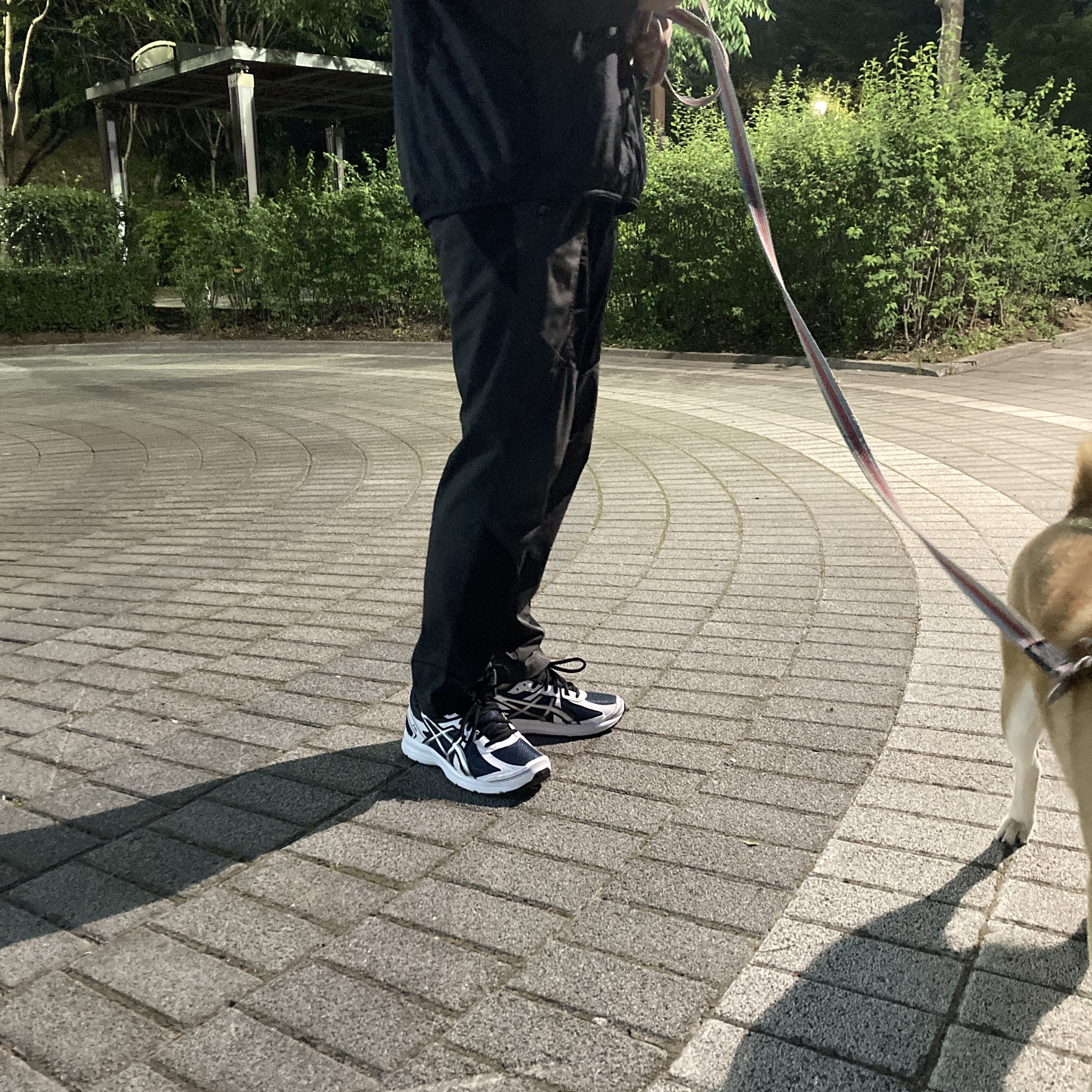 Asics Jog 100 S Navy Pure Silver - 2E Wide 착용 스타일 - 1