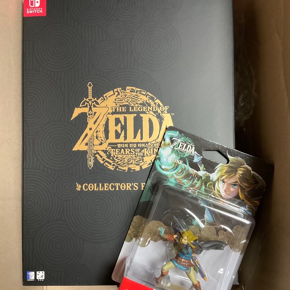 Nintendo Switch The Legend of Zelda Tears of The Kingdom - Collector's Edition (With Title/Korean Ver.) 착용 스타일 - 2