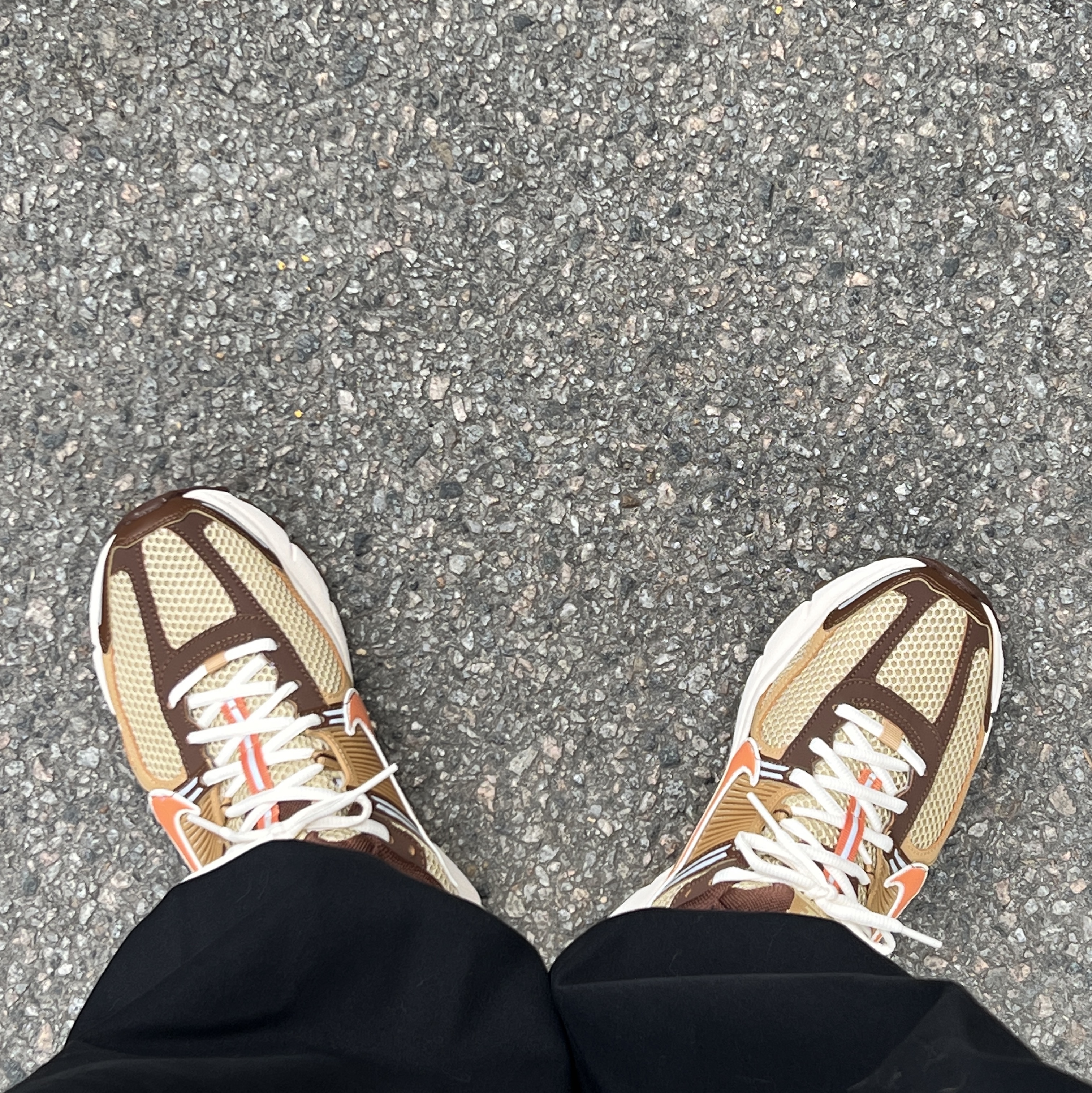 Nike Zoom Vomero 5 Wheat Grass and Cacao Wow 착용 스타일