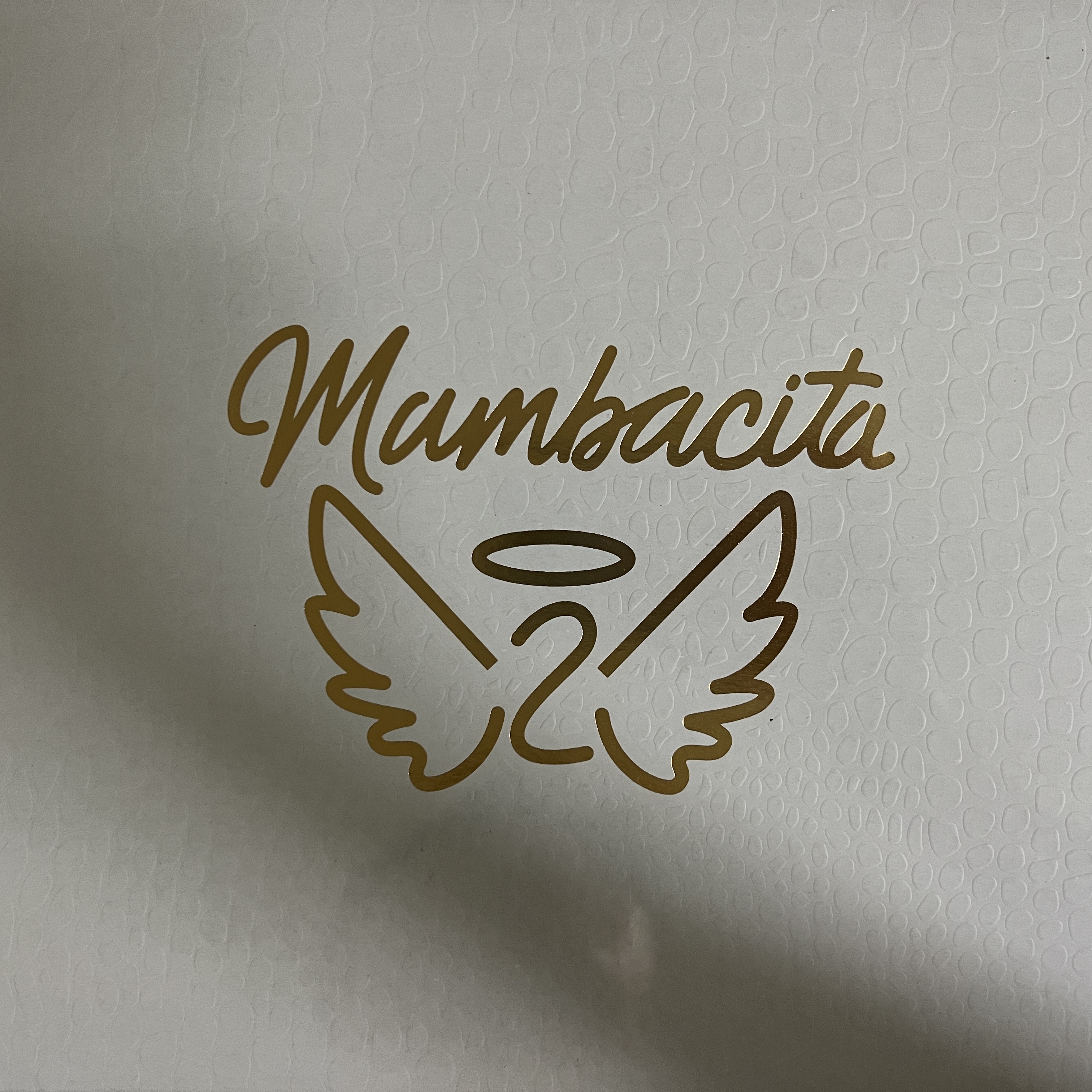 Nike Kobe 4 Protro Mambacita Gigi 착용 스타일 - 1