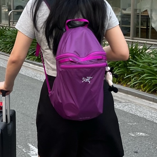 Arc'teryx Heliad 15 Backpack Groovie 착용 스타일