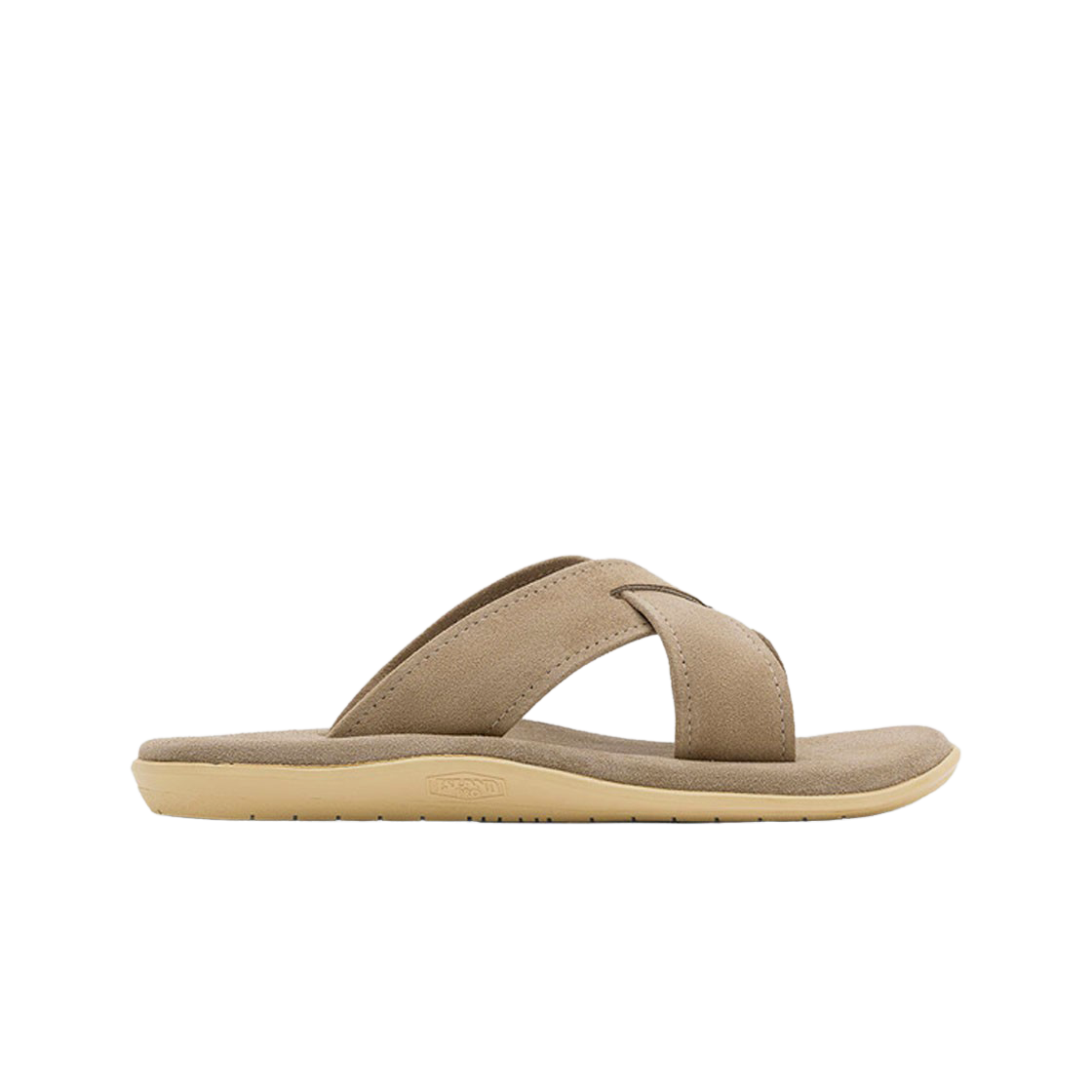 PT223 Island Slipper Slide Taupe Suede