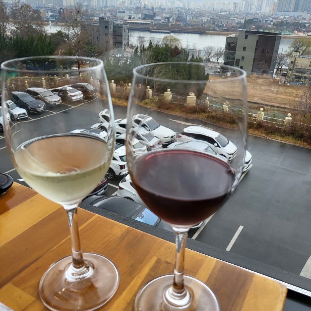 Burberry Felton Check Varsity Jacket Dark Dark Birch Brown 착용 스타일 - 5