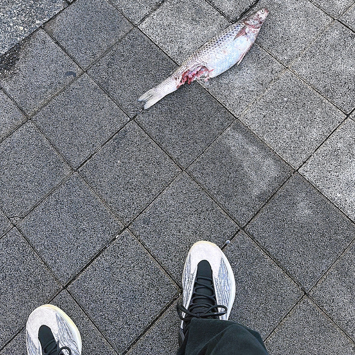 Adidas Yeezy QNTM Lifestyle 착용 스타일