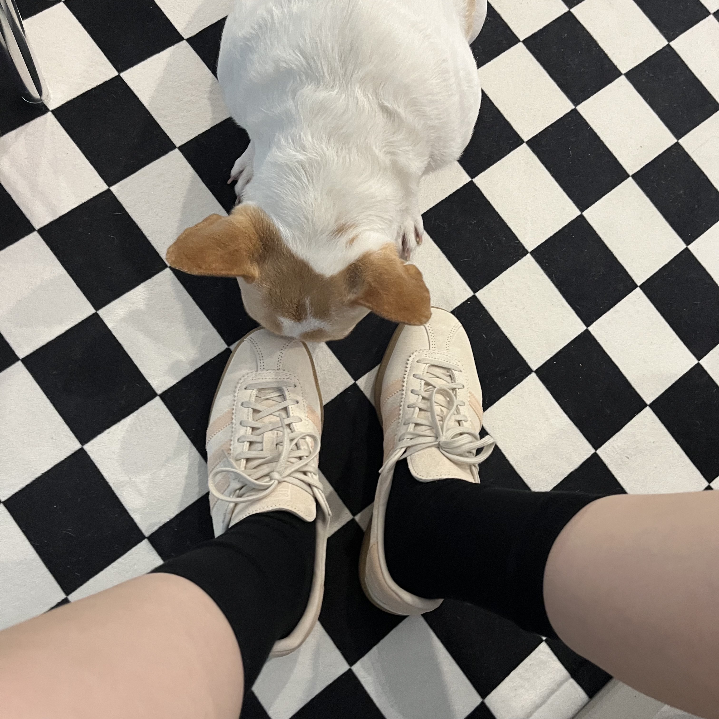 Adidas Bermuda Wonder White 착용 스타일