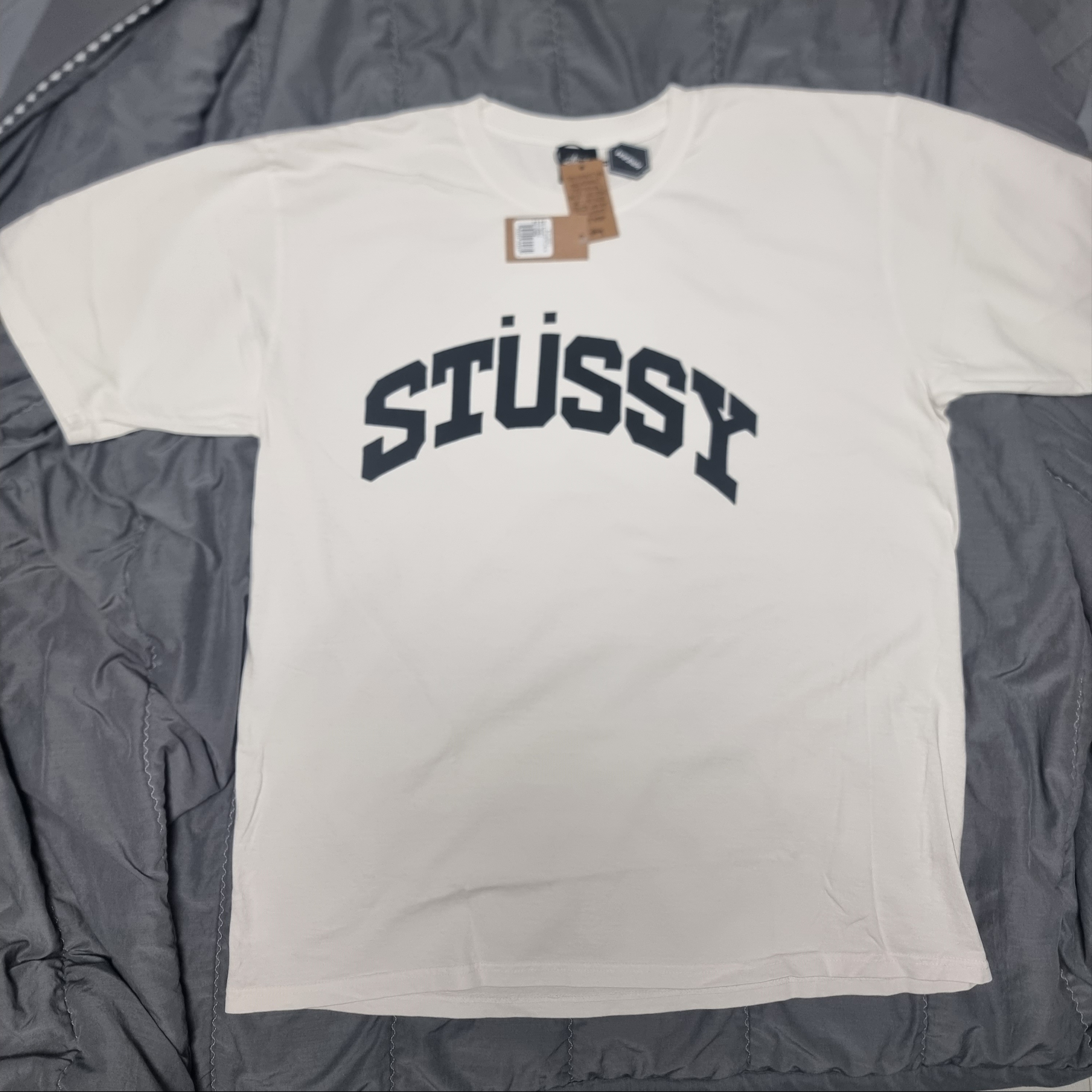 Stussy Block Sport Pigment Dyed T-Shirt Natural 착용 스타일