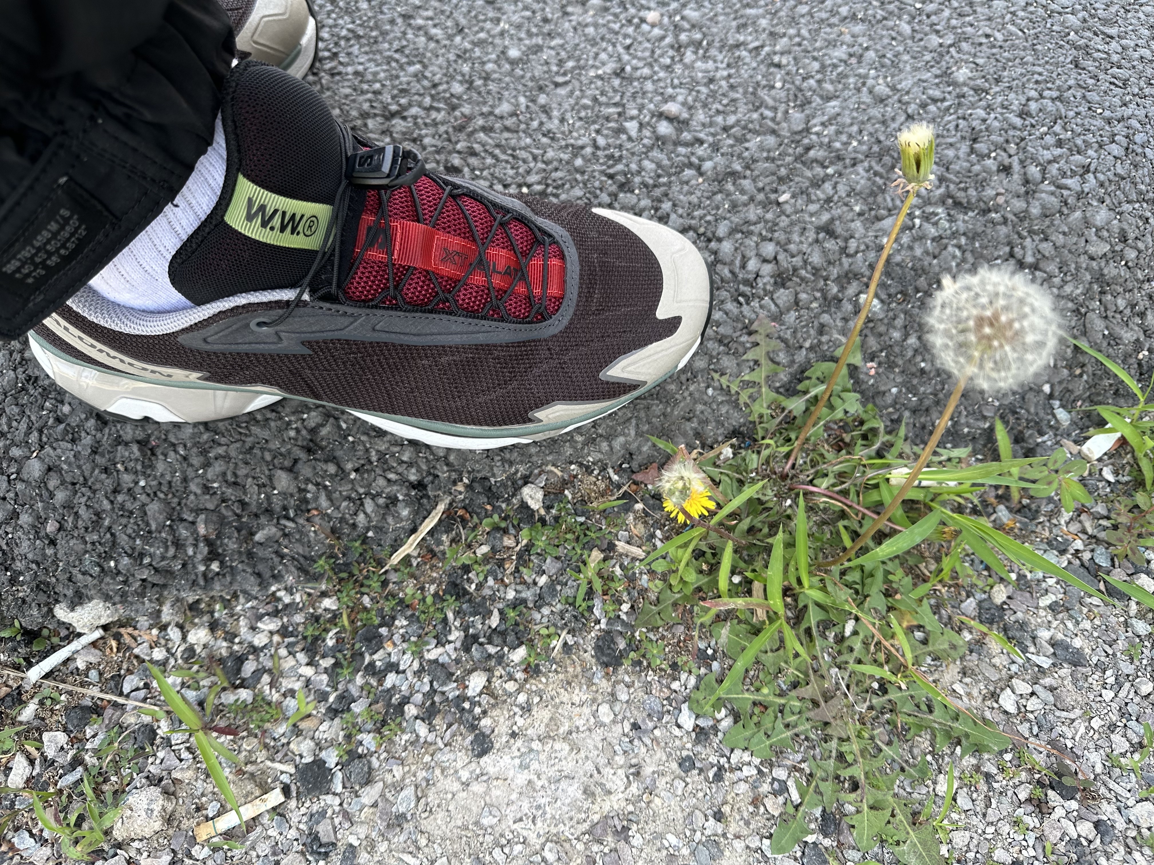 Salomon x Wood Wood XT-Slate Black Coffee 착용 스타일