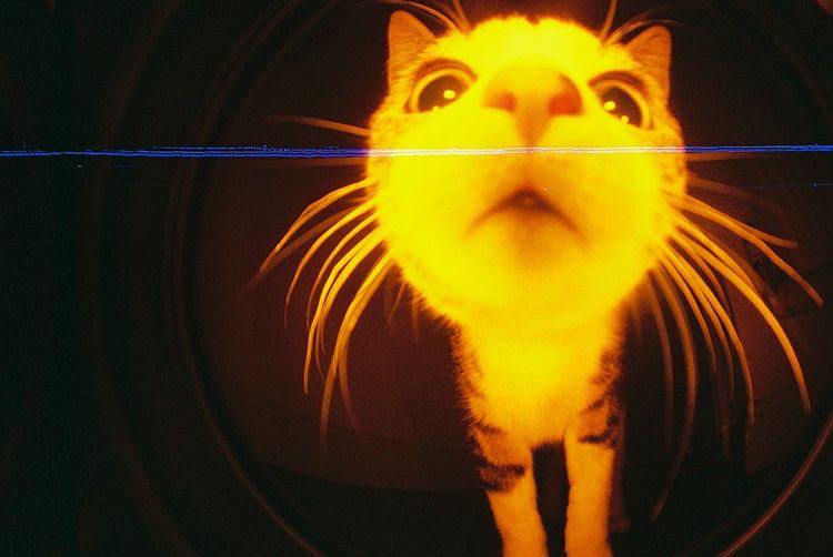 관심 유저 프로필 이미지