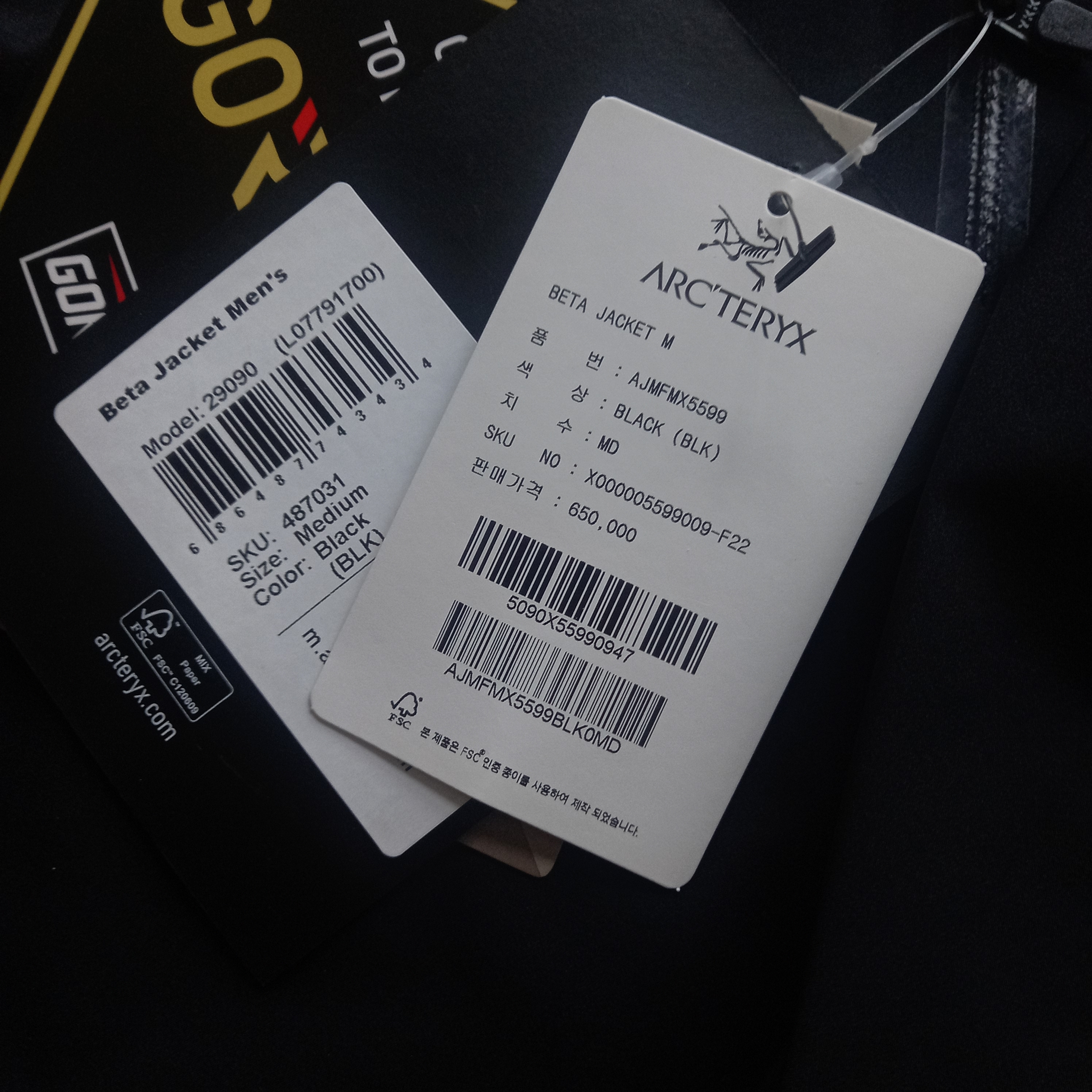Arc'teryx Beta Jacket Black 착용 스타일 - 2
