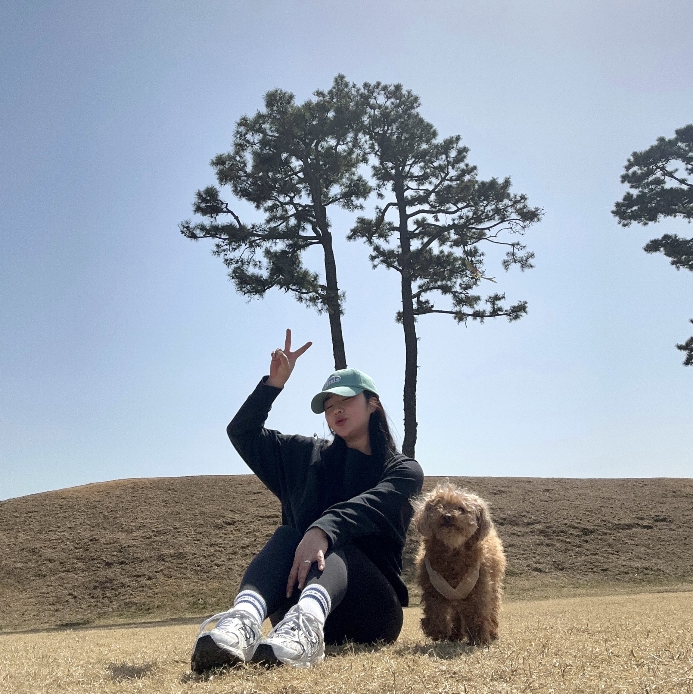 슘님의 스타일