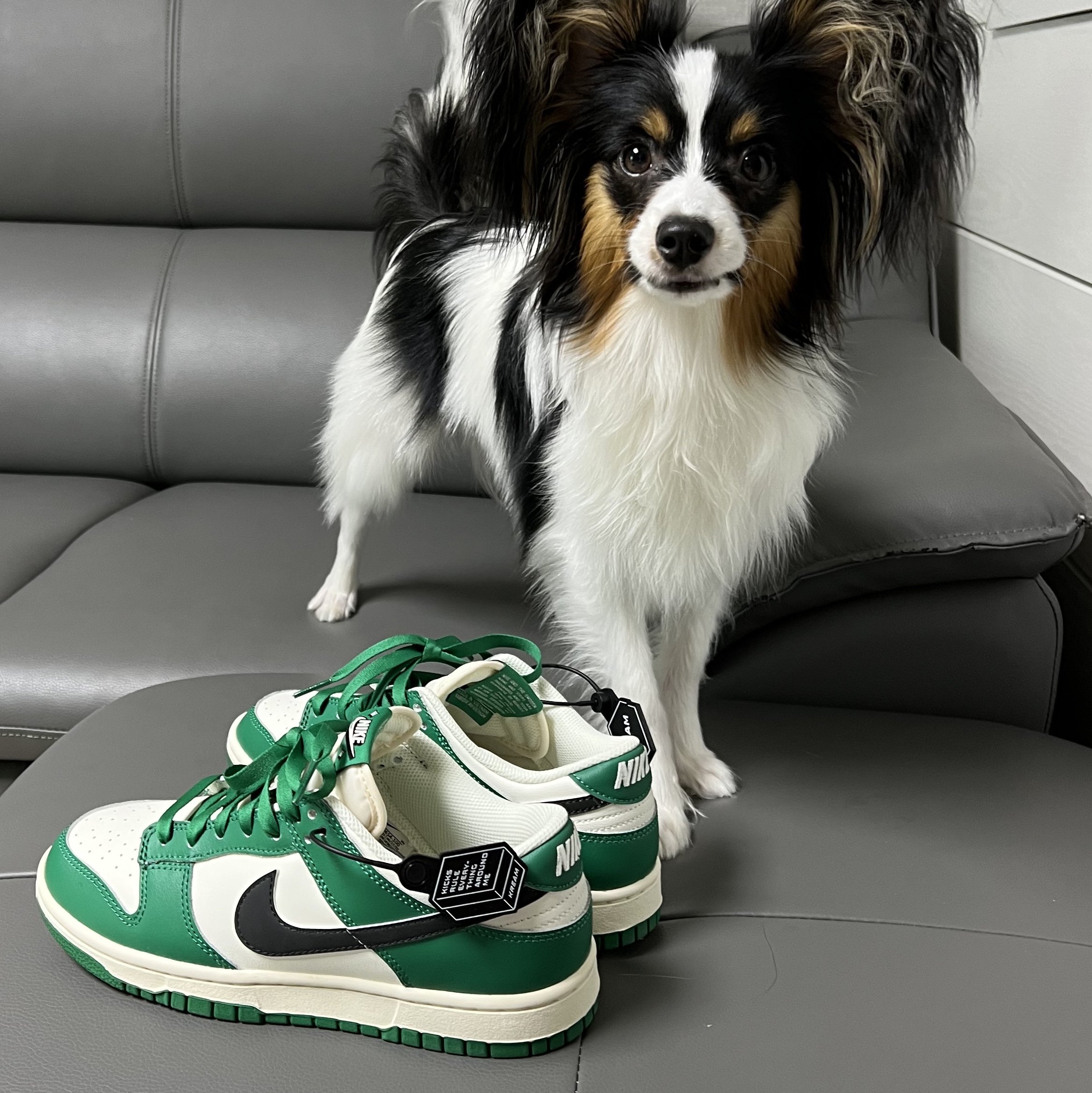 Nike Dunk Low Retro SE Jackpot Malachite 착용 스타일