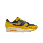 (W) Nike Air Max 1 Premium Head to Head