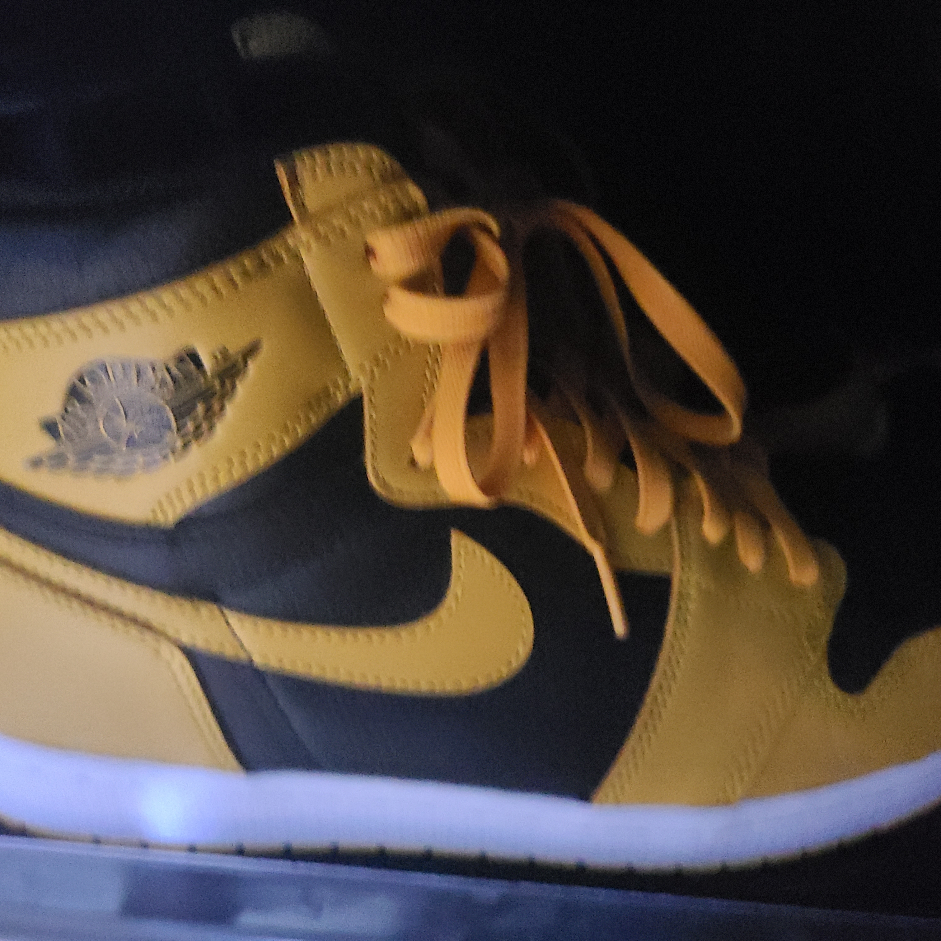 Jordan 1 Retro High OG Pollen 착용 스타일