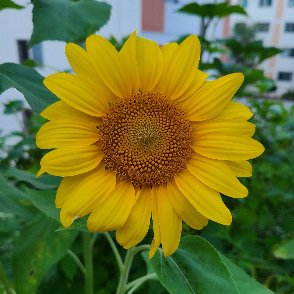 관심 유저 프로필 이미지
