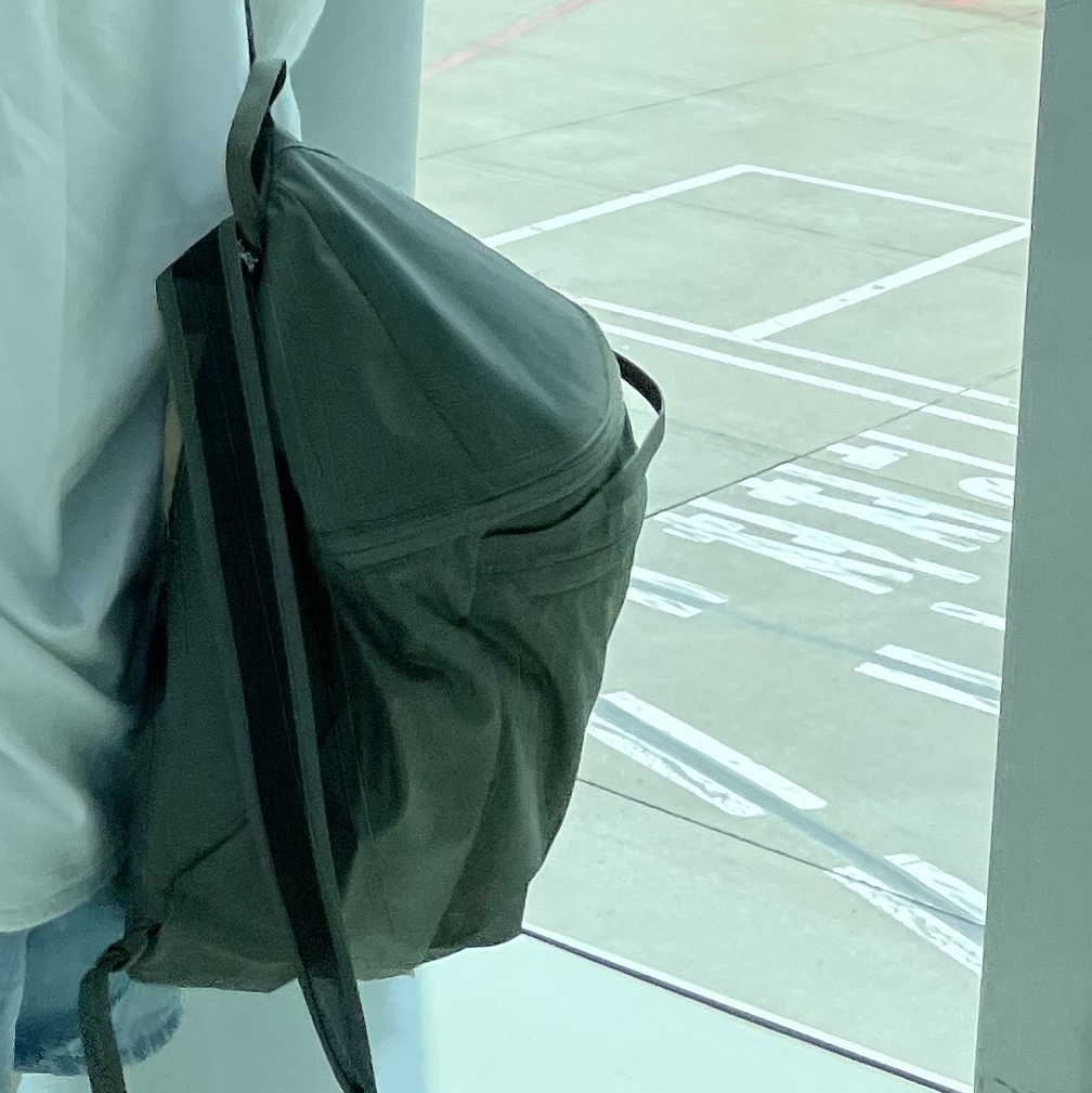 Arc'teryx Heliad 15 Backpack Forage 착용 스타일