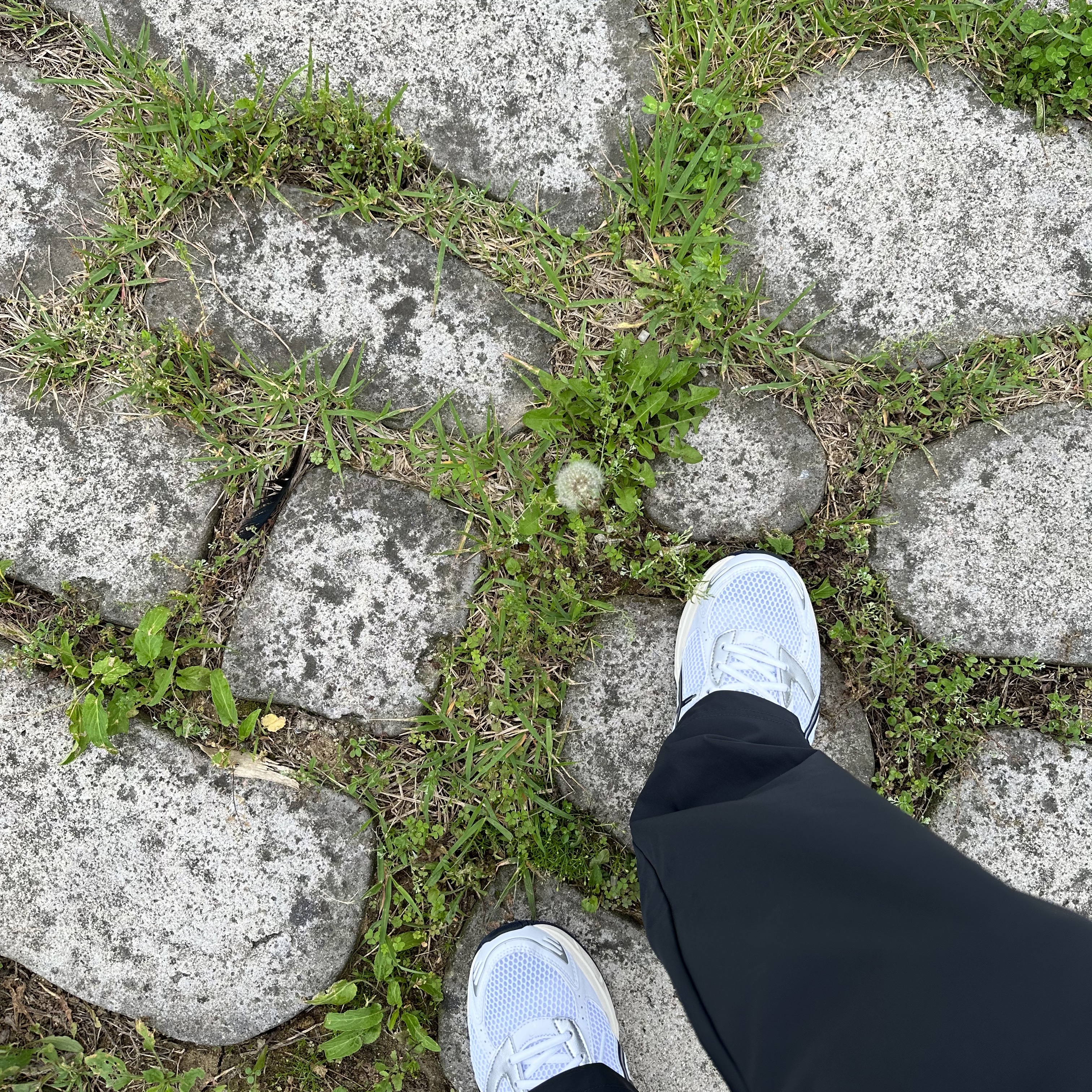 (W) Asics Gel-1130 White Midnight 착용 스타일