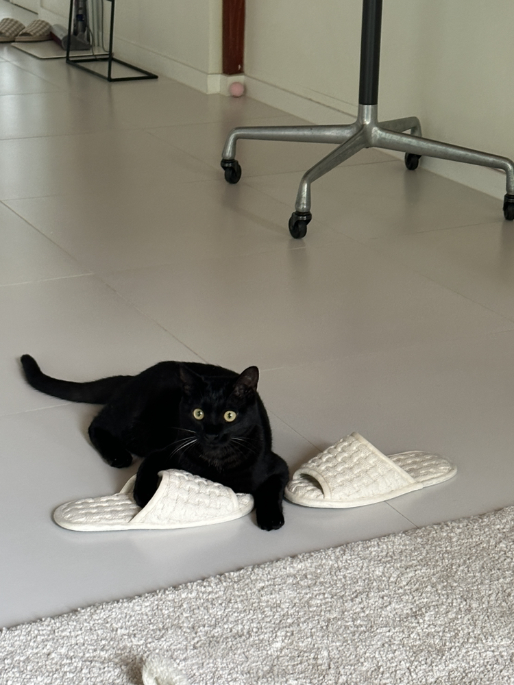 관심 유저 프로필 이미지