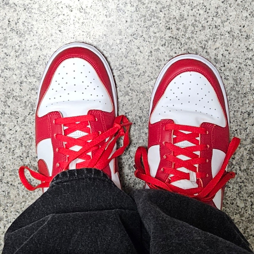 Nike Dunk Low Retro Gym Red 착용 스타일