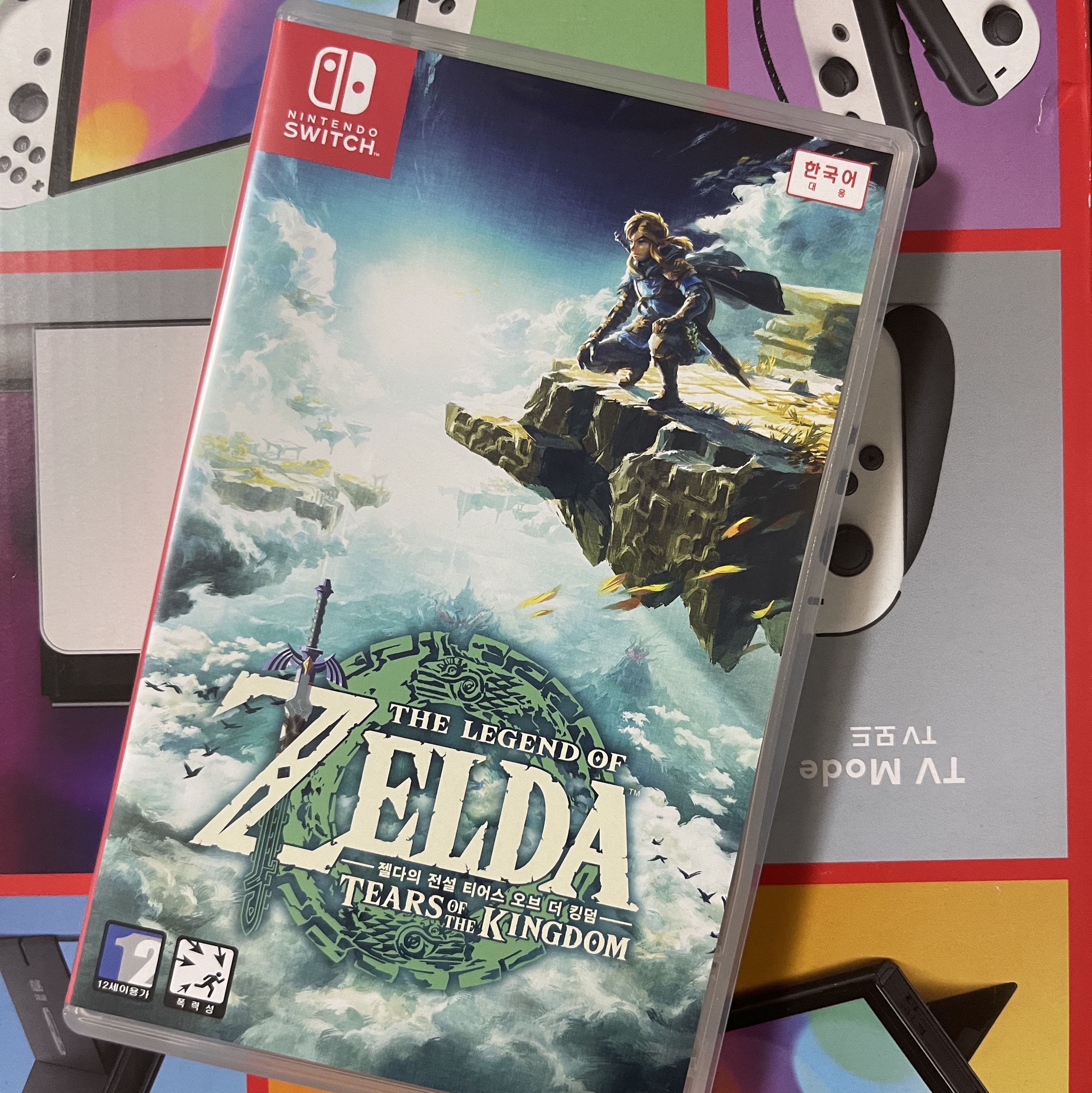 Nintendo Switch The Legend of Zelda Tears of The Kingdom (Korean Ver.) 착용 스타일