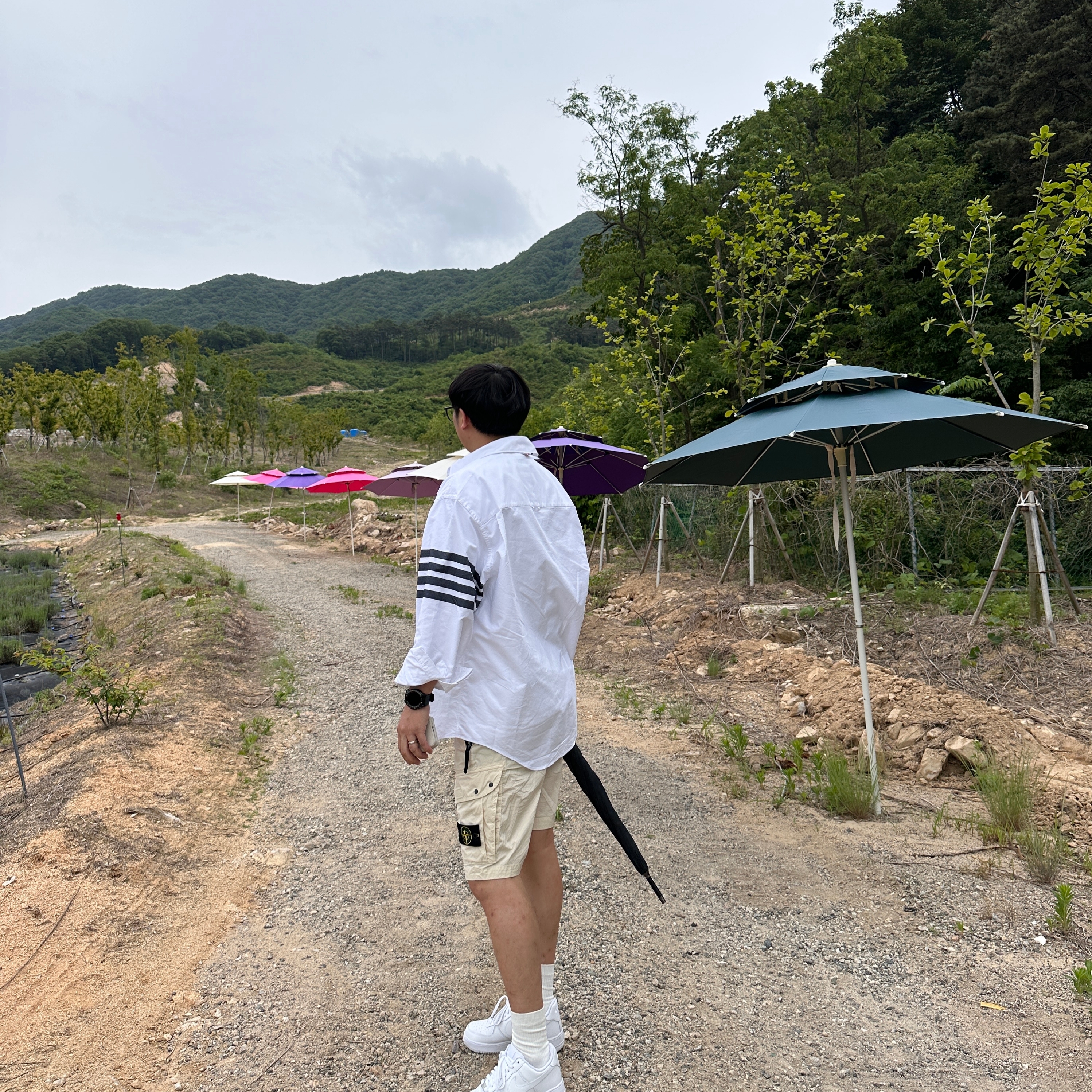 Nike Air Force 1 '07 Low White, Stone Island L0803 Stretch Cotton Canvas Garment Dyed Cargo Bermuda Shorts Dove Grey - 23SS 착용 스타일