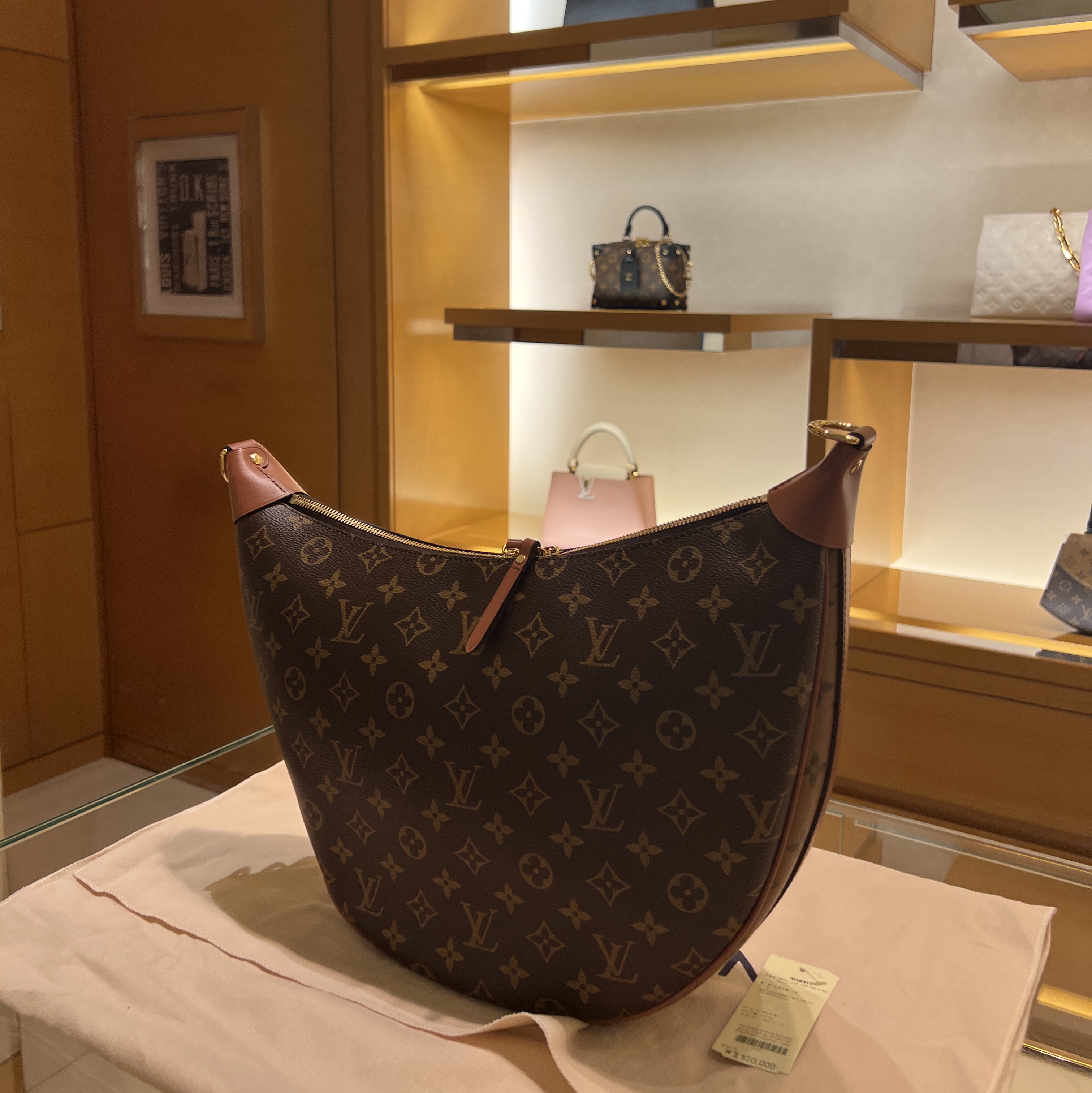 Louis Vuitton Loop Hobo Monogram 착용 스타일