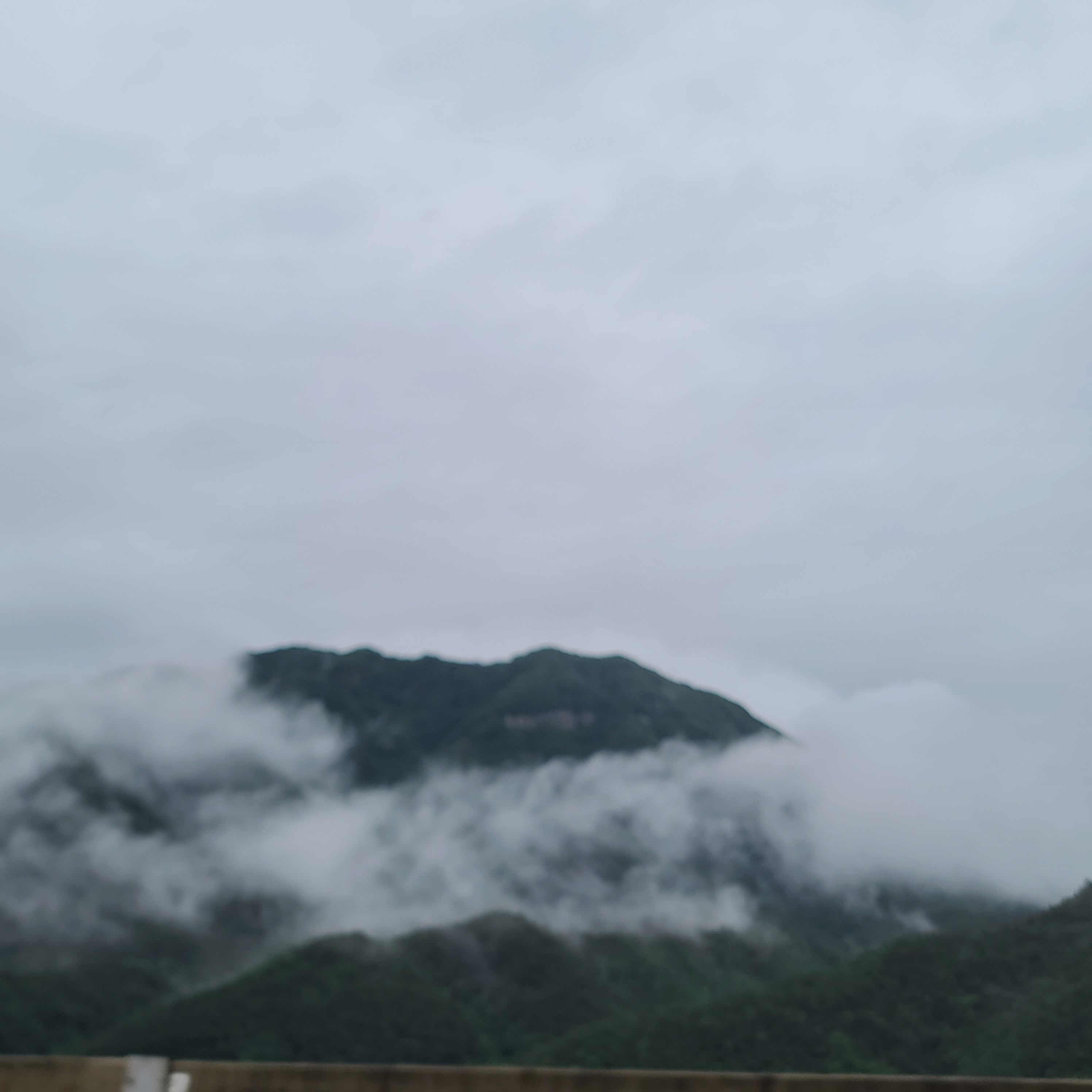 빵쑤기님의 스타일