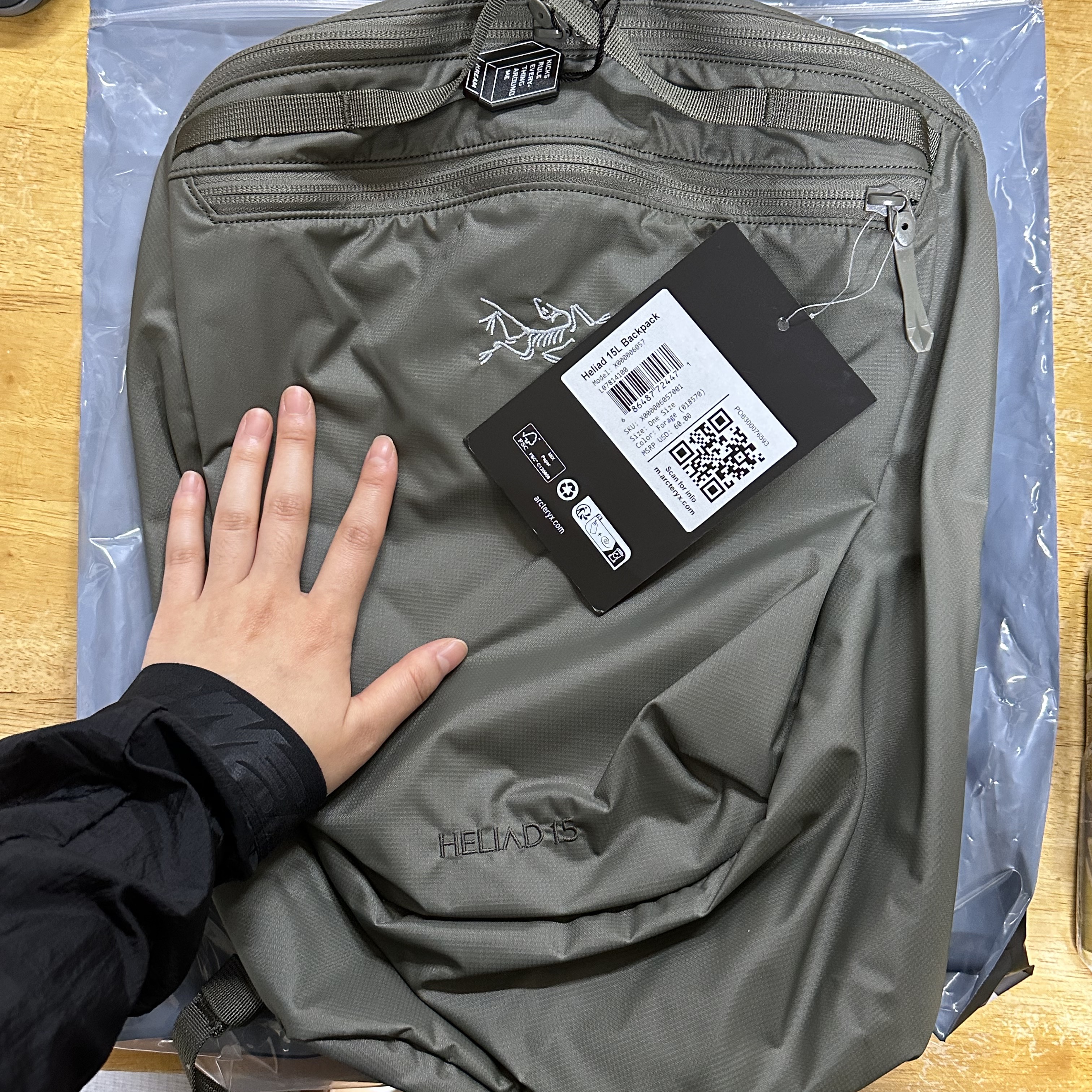 Arc'teryx Heliad 15 Backpack Forage 착용 스타일