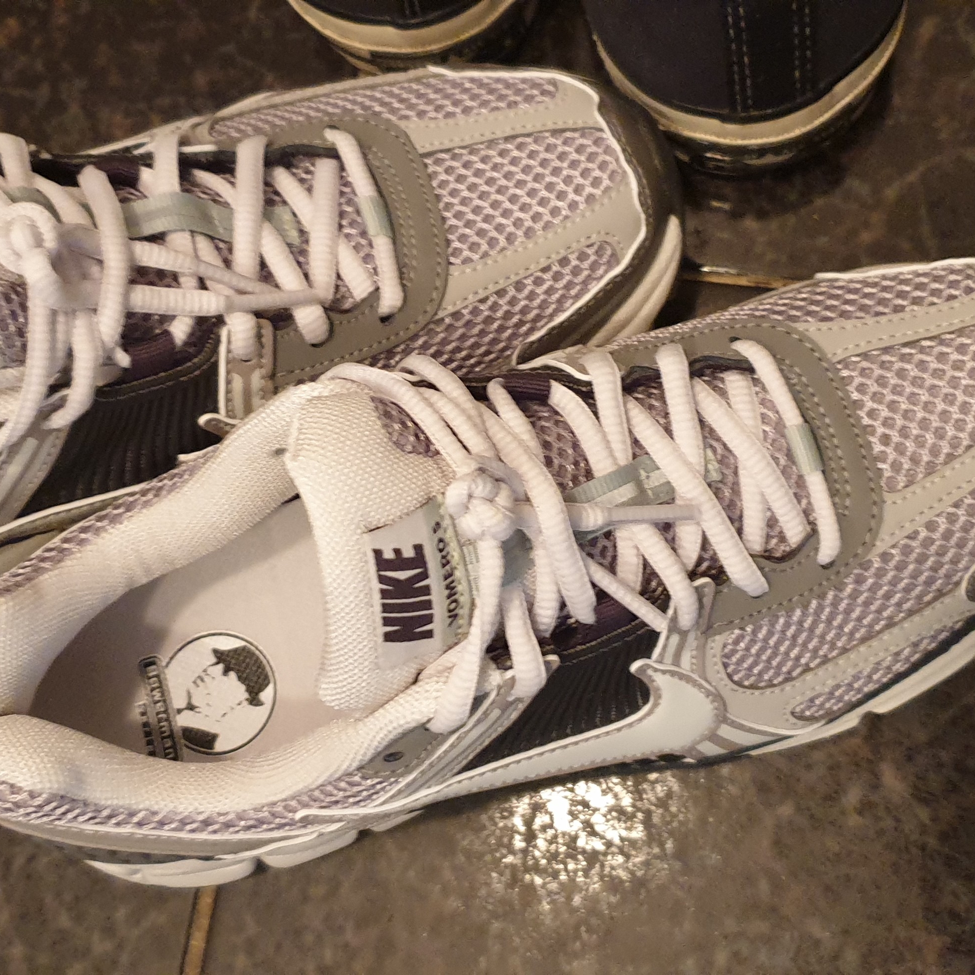 (W) Nike Zoom Vomero 5 Cobblestone and Flat Pewter 착용 스타일