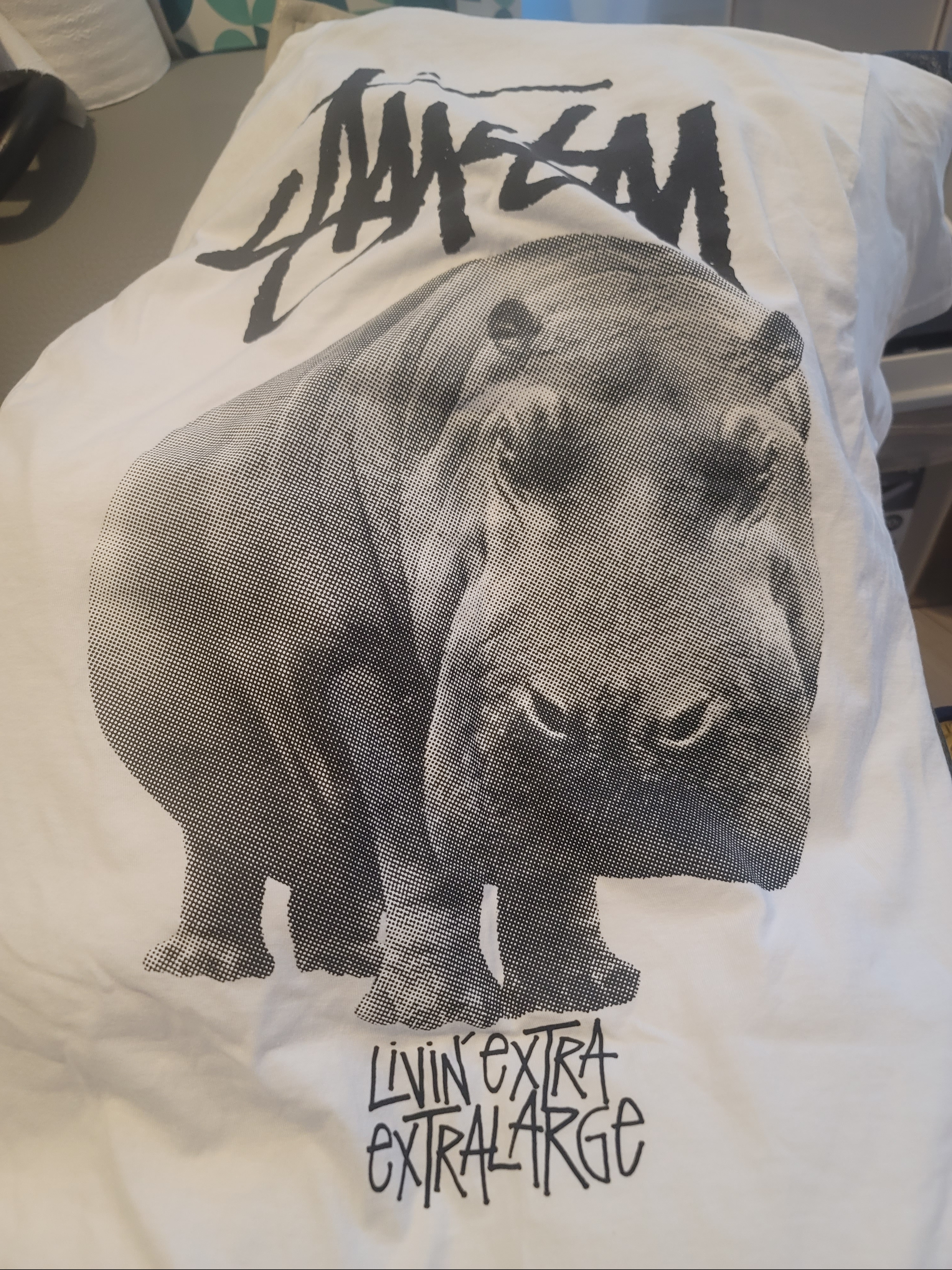 Stussy Livin' Large T-Shirt White 착용 스타일