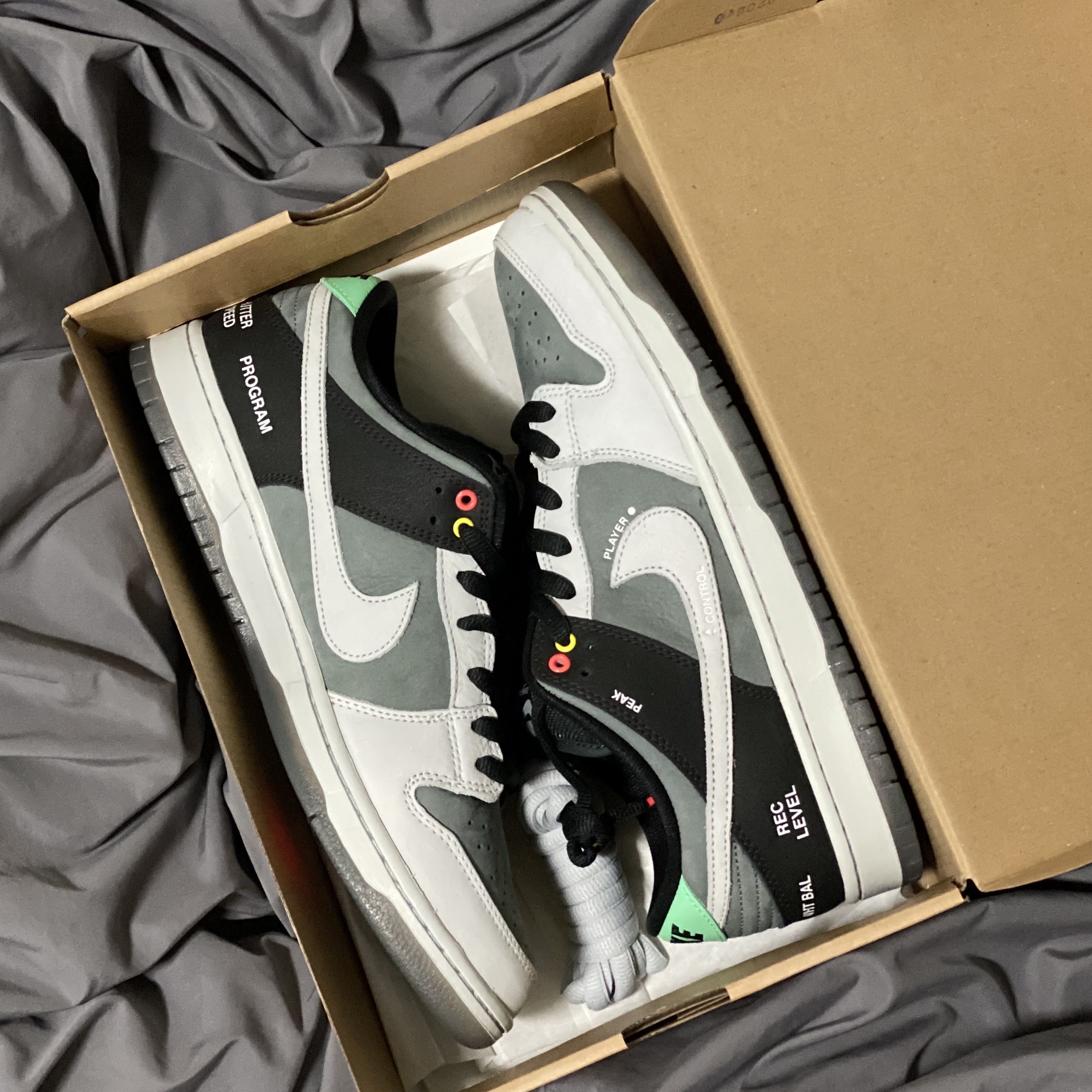 Nike SB Dunk Low Pro Camcorder 착용 스타일