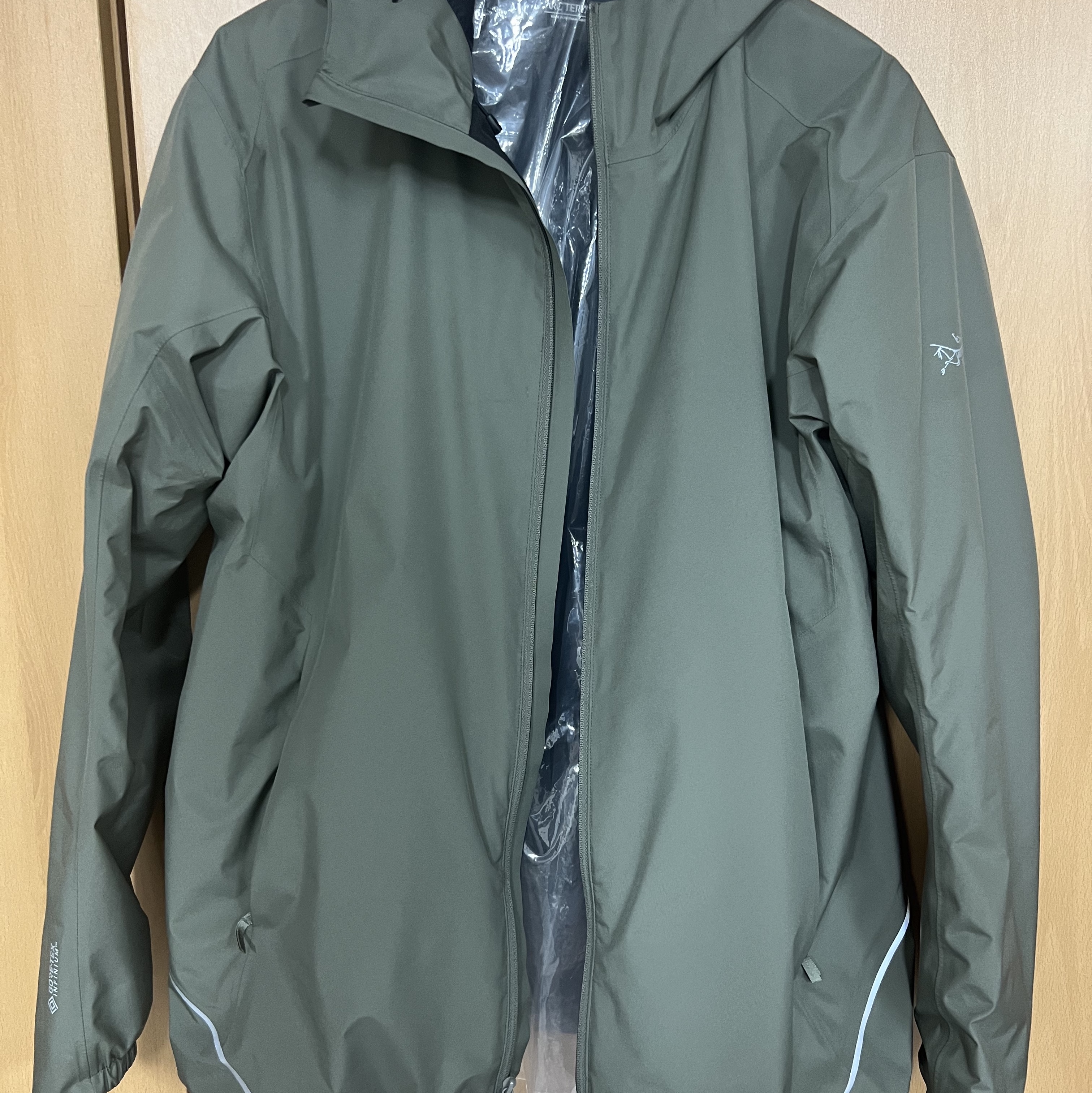Arc'teryx Solano Hoody Forage - 23SS 착용 스타일