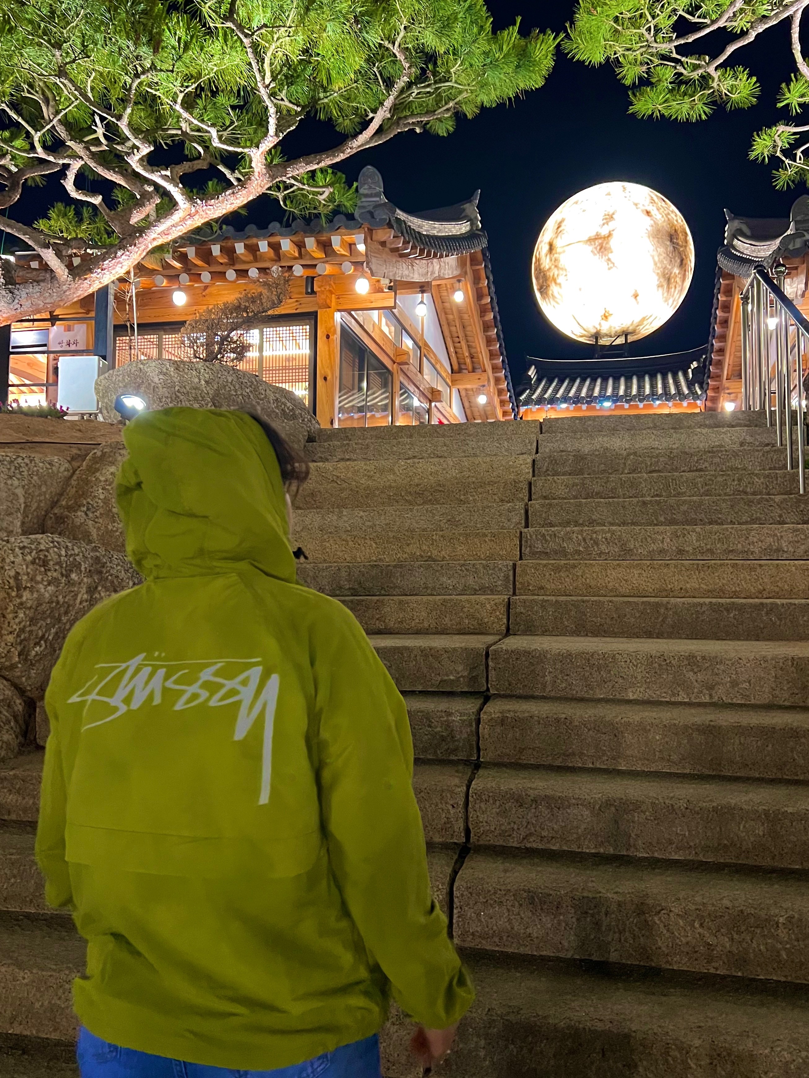 Stussy Wave Dye Beach Shell Jacket Slime 착용 스타일