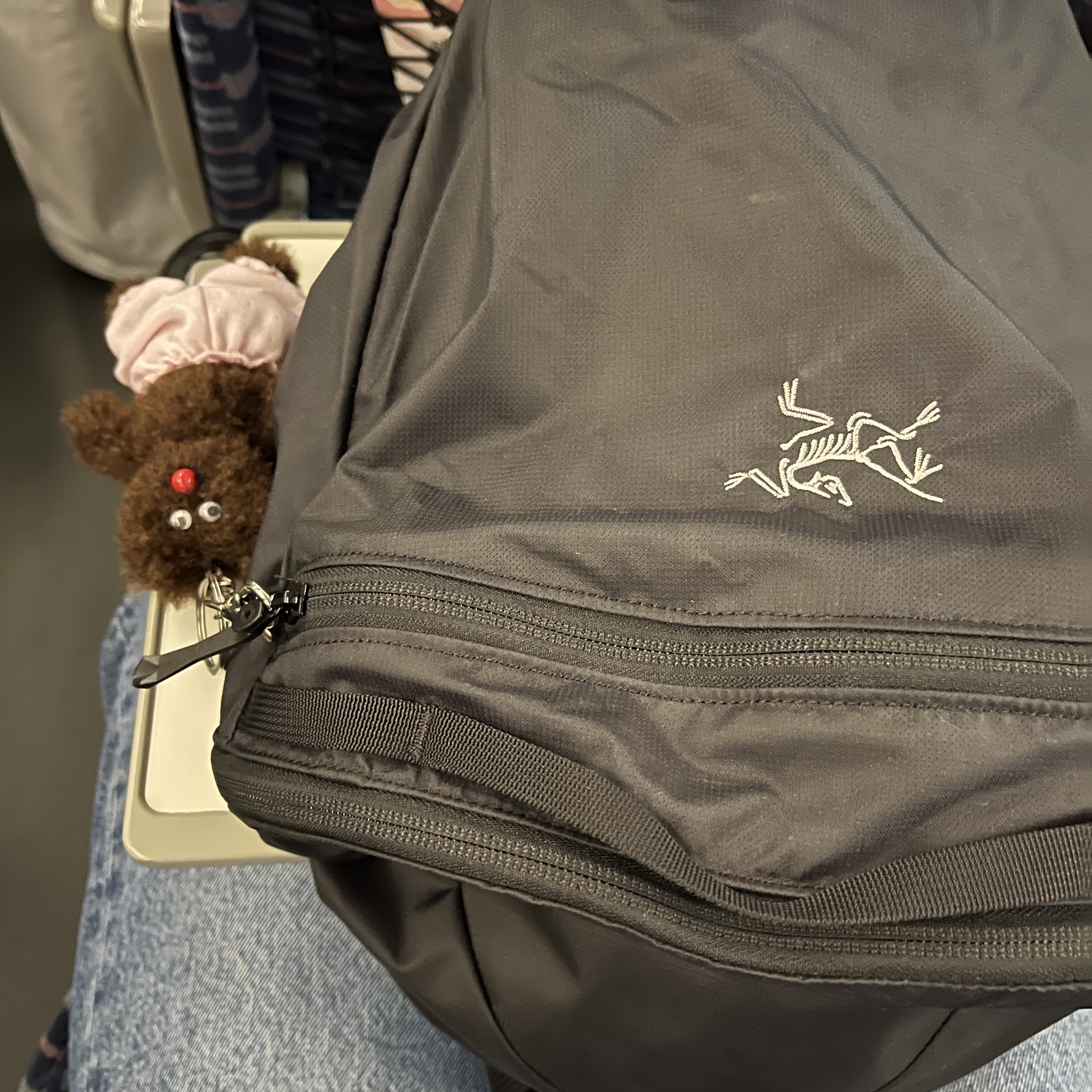 Monamhee Bred Keyring with Pink Pants Brown, Arc'teryx Heliad 15 Backpack Black 착용 스타일