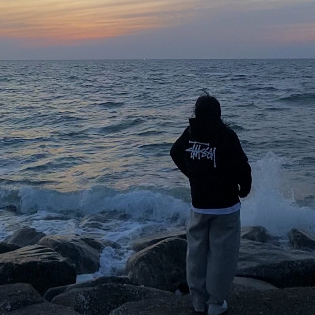 Stussy Basic Stussy Zip Hoodie Black 2021 착용 스타일