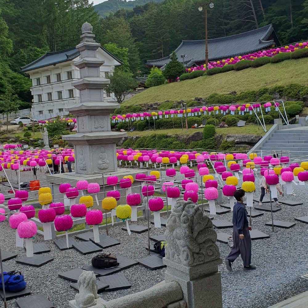 관심 유저 프로필 이미지
