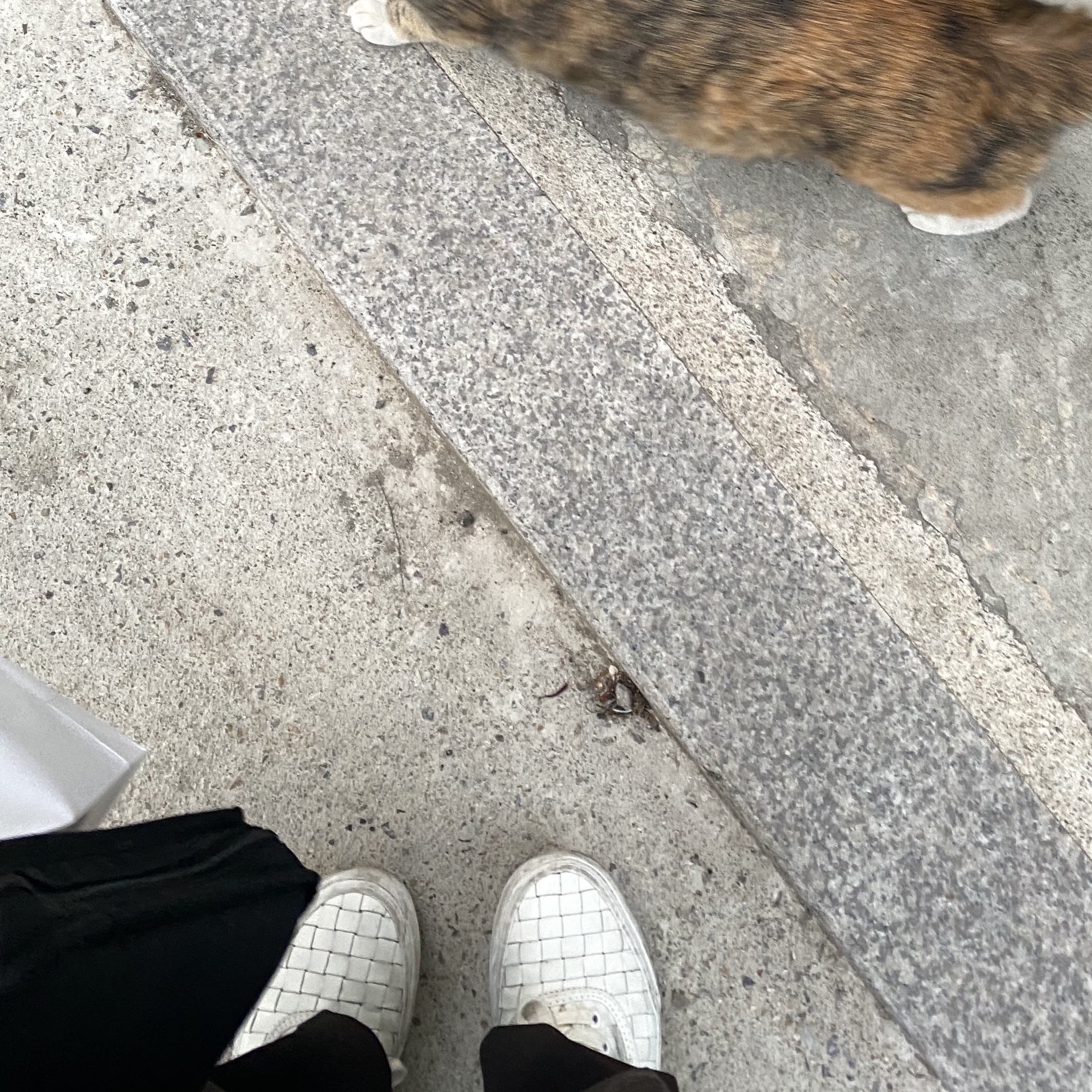 memineme님의 스타일