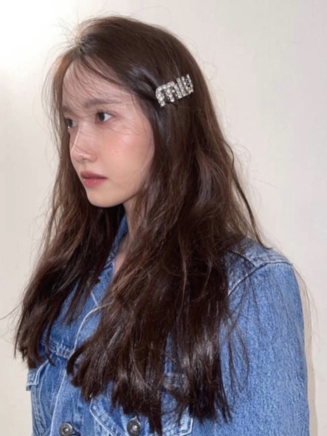 (W) Miu Miu Crystal Hair Clip Steel 착용 스타일