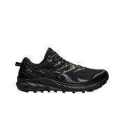 Asics Gel-Trabuco 10 Gore-Tex Black Carrier Grey