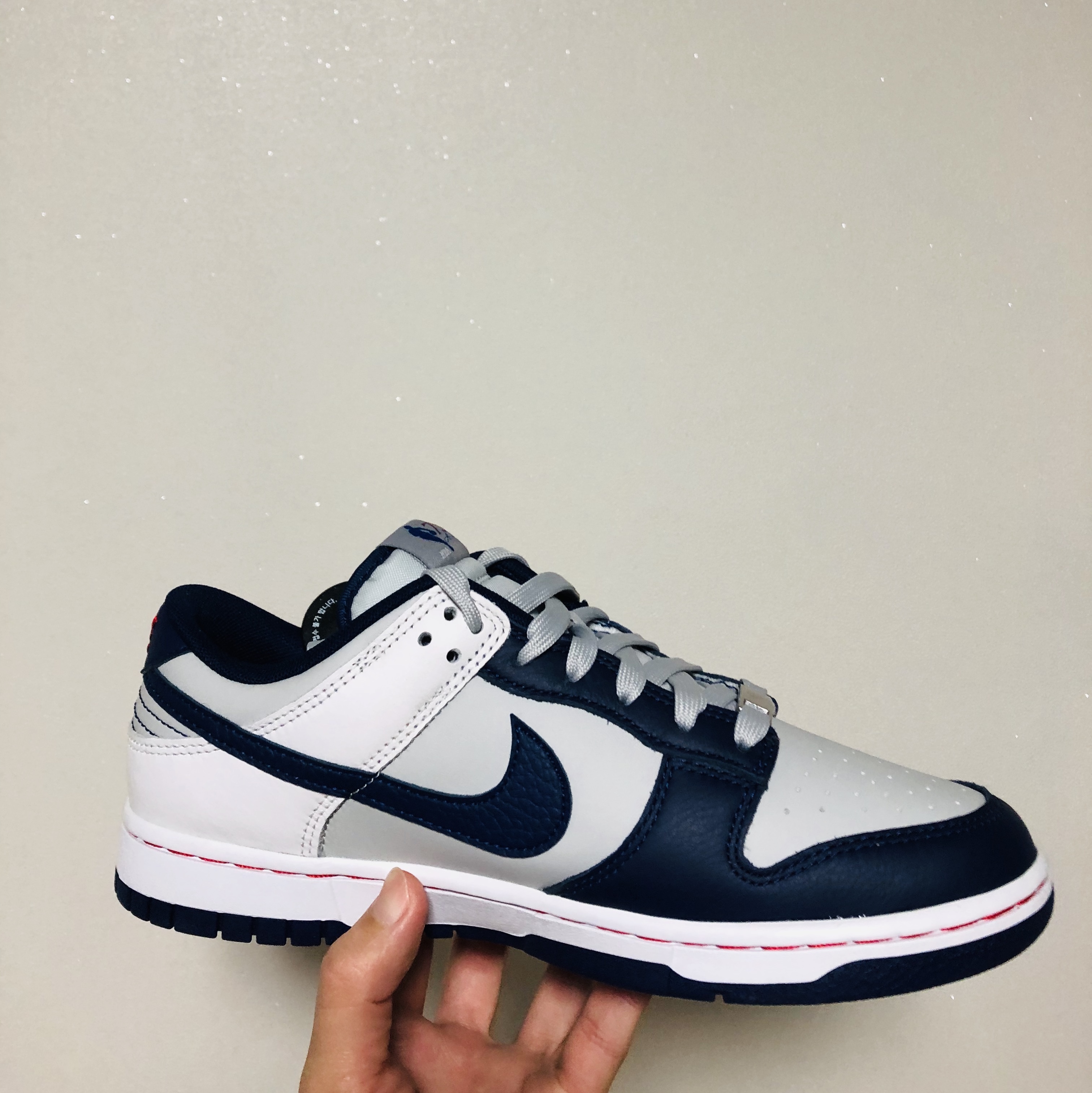 Nike x NBA Dunk Low Retro EMB Nets 착용 스타일 - 3