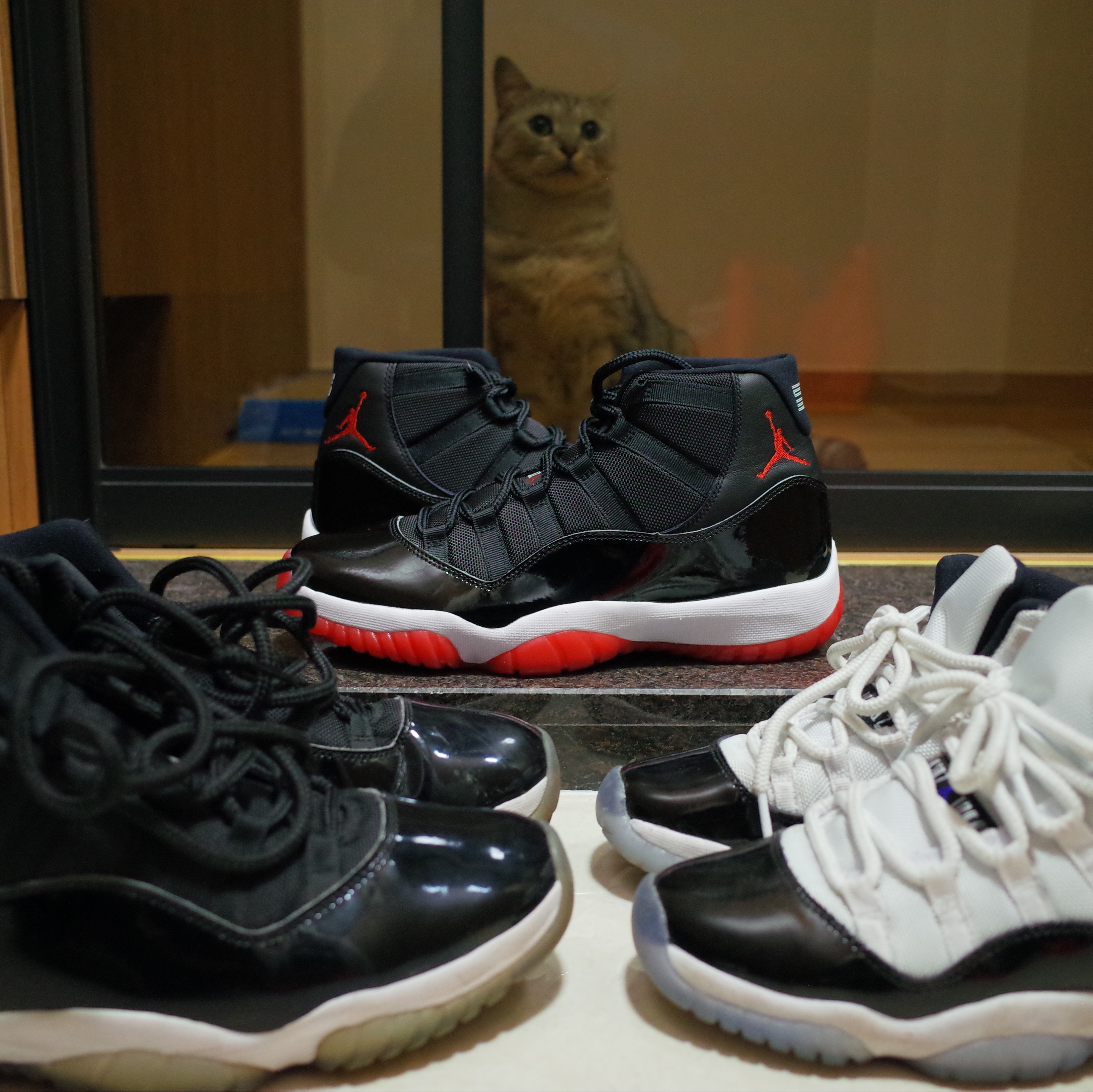 Jordan 11 Retro Space Jam 2016, Jordan 11 Retro Bred 2019 착용 스타일