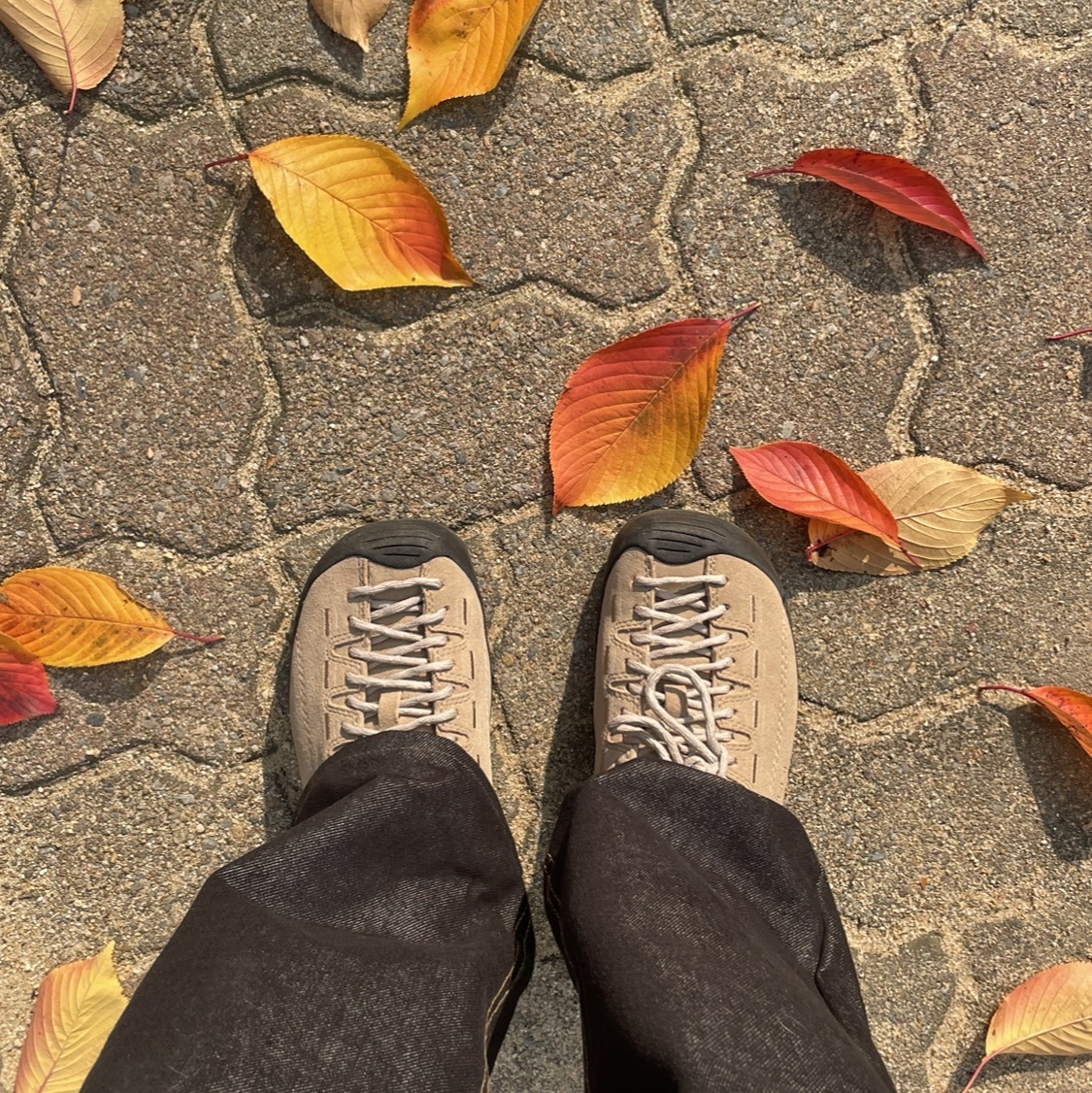 Keen Jasper Suede Sneakers Silver Mink 착용 스타일