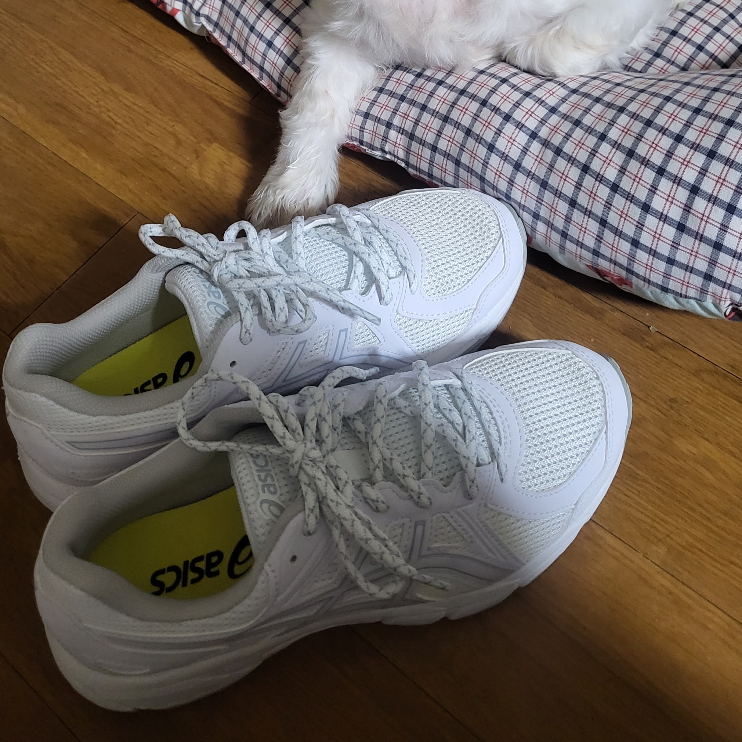 (W) Asics Jog 100 T White - 2E Extra Wide 착용 스타일