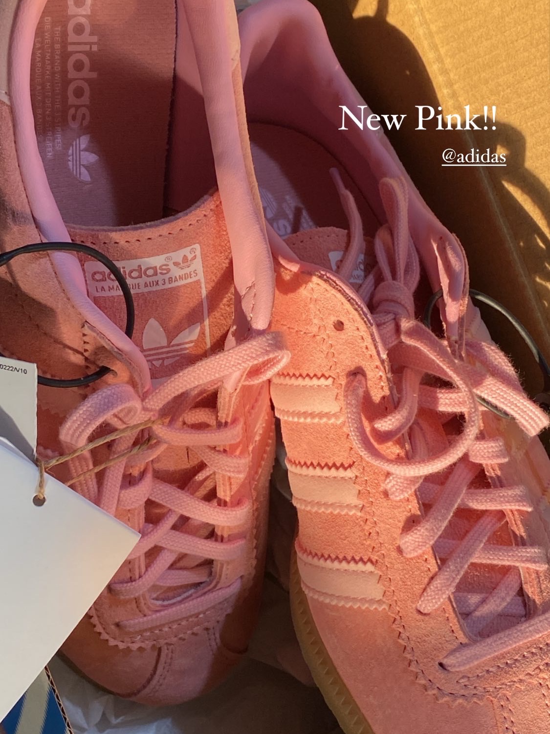 Adidas Bermuda Glow Pink 착용 스타일 - 2