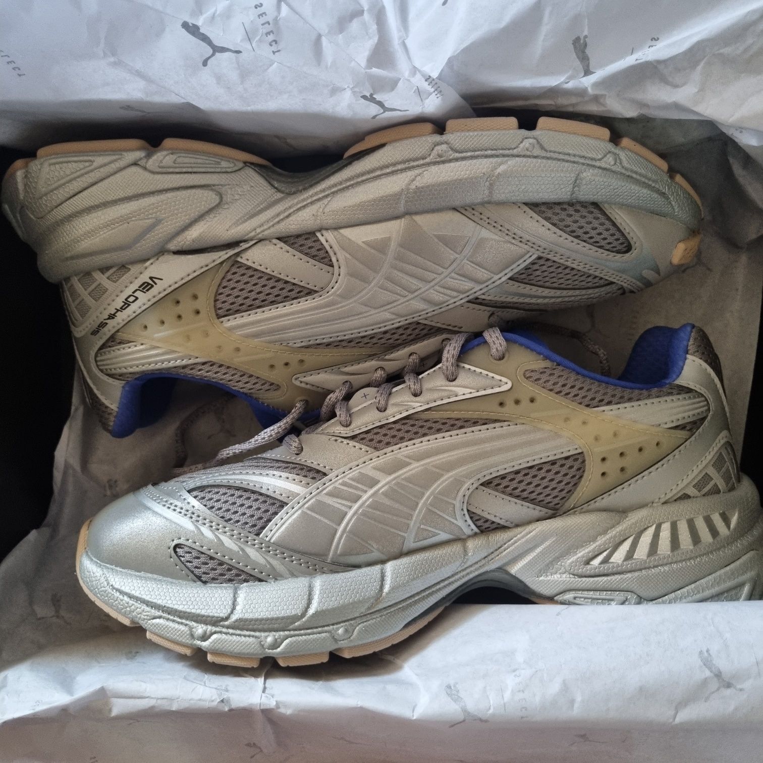 Puma Velophasis Matte Silver Royal Sapphire 착용 스타일