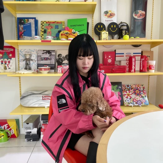 스타일 카드