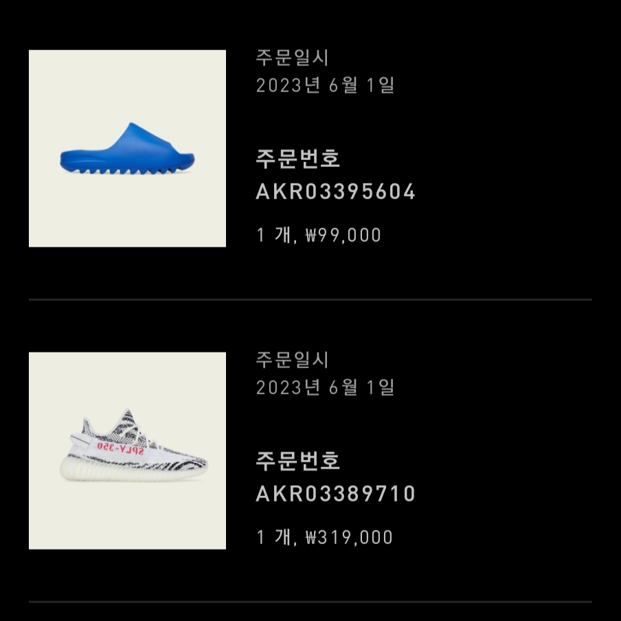 Adidas Yeezy Boost 350 V2 Zebra 2022/2023 착용 스타일