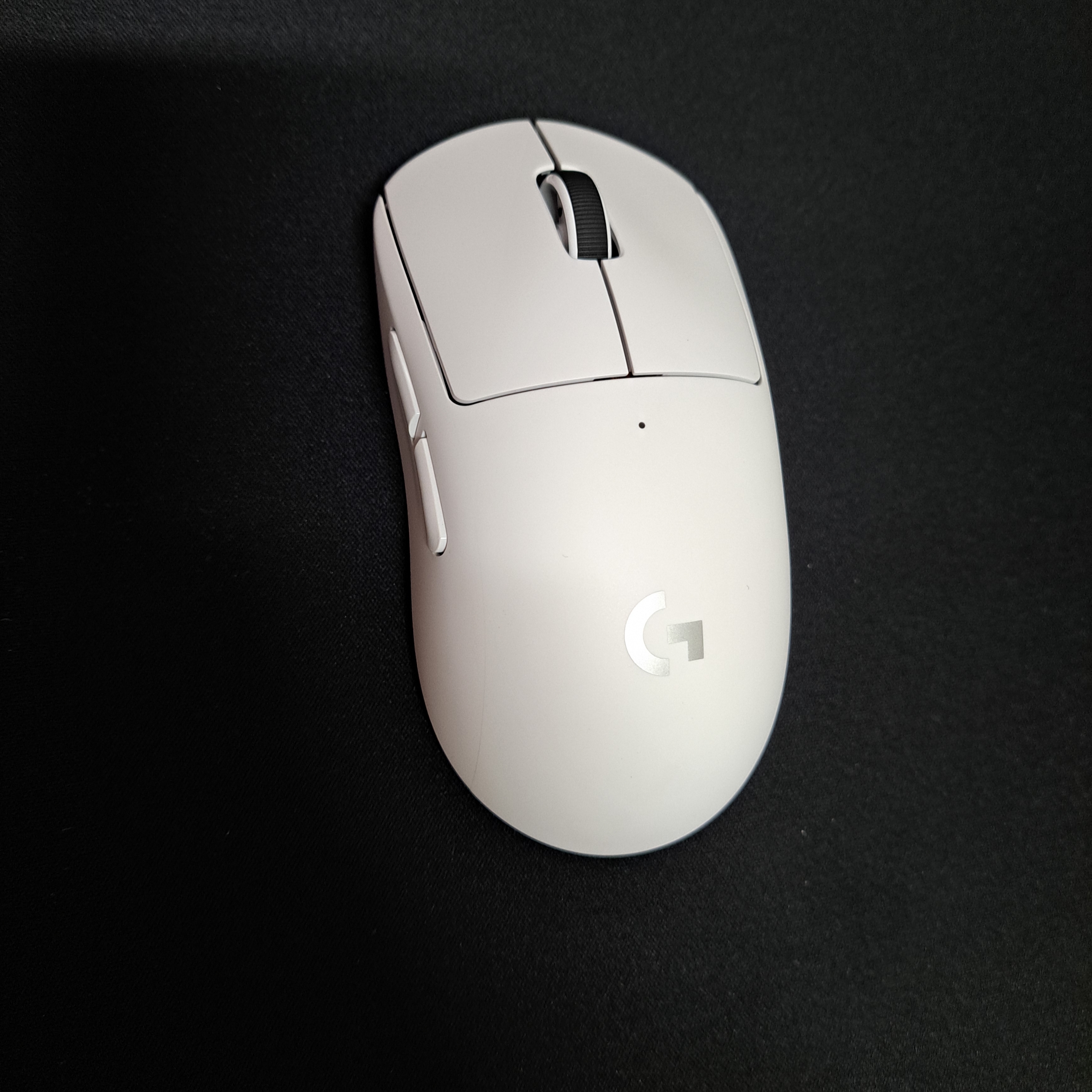 Logitech G Pro X Superlight Wireless Gaming Mouse White (Korean Ver.) 착용 스타일