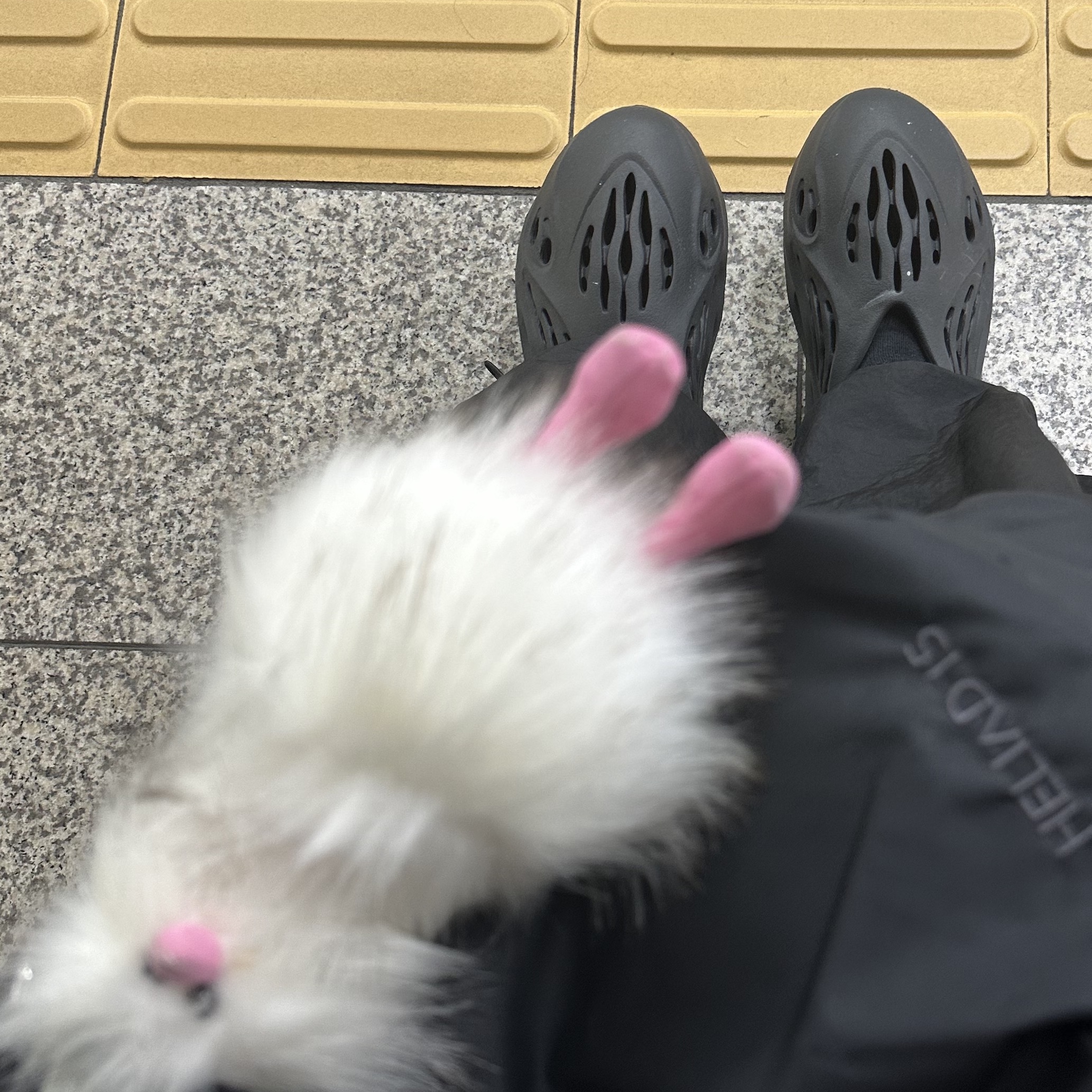 Adidas Yeezy Foam RNNR Onyx 착용 스타일 - 2